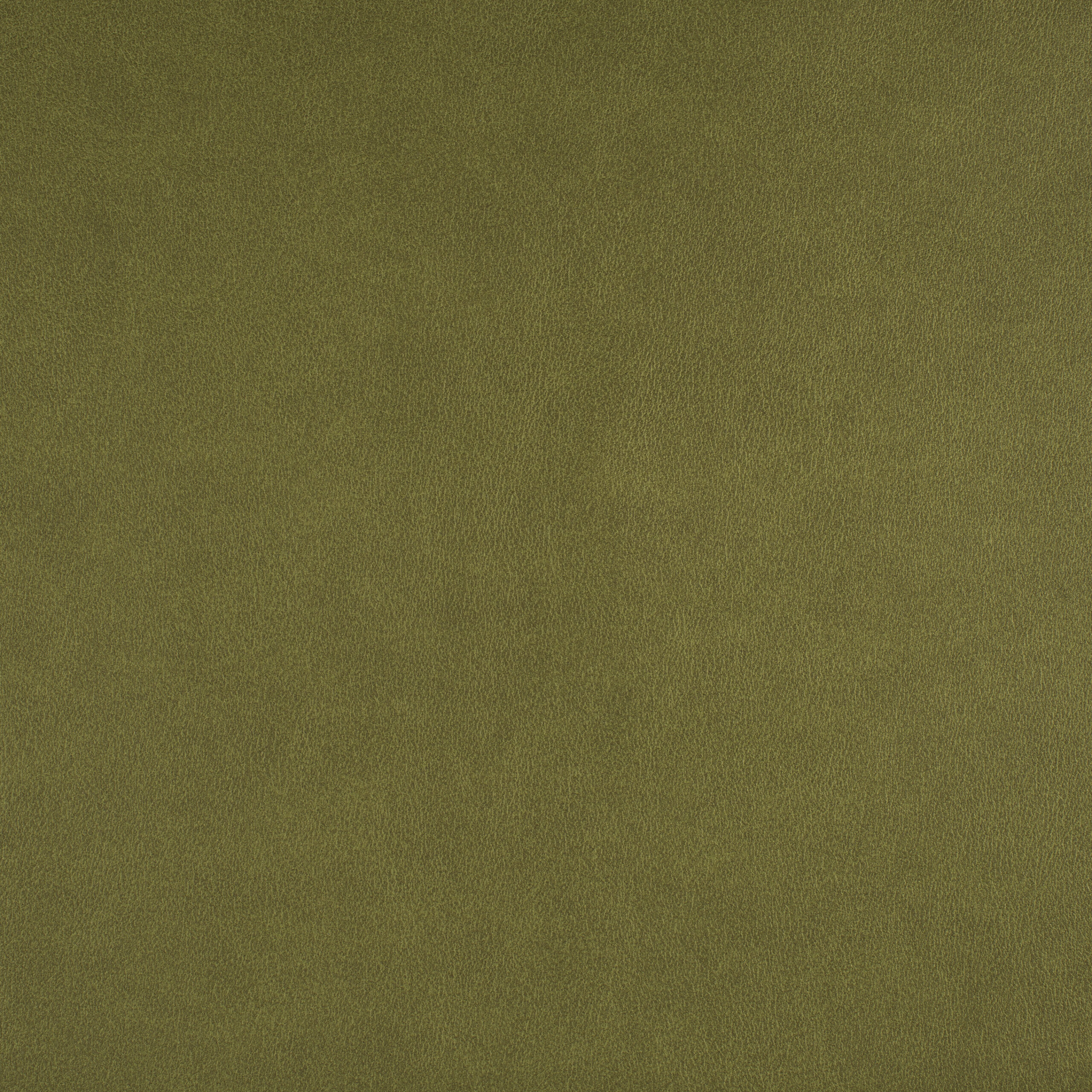 ICON – # 741 SPRING