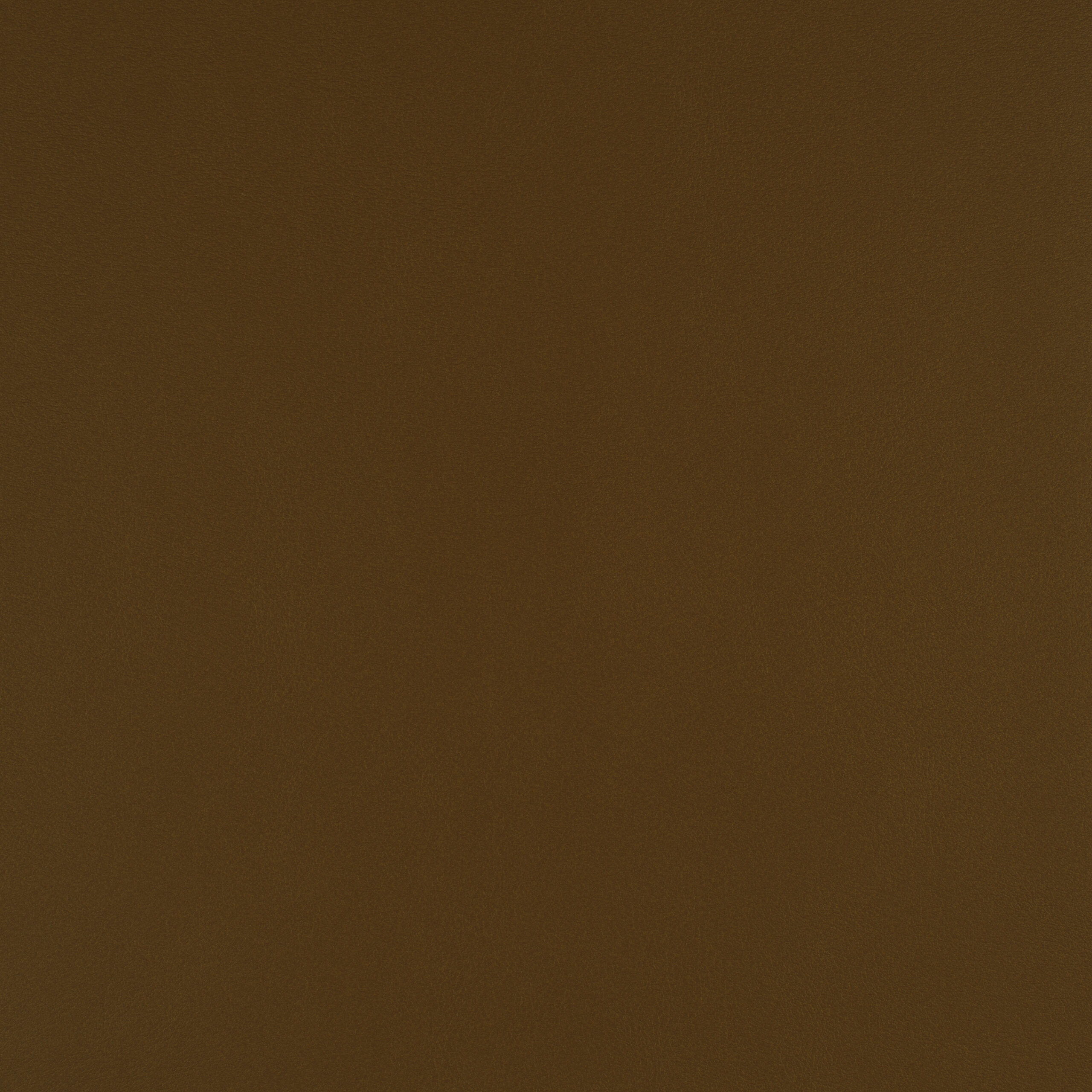 ICON – # 729 BUTTERSCOTCH