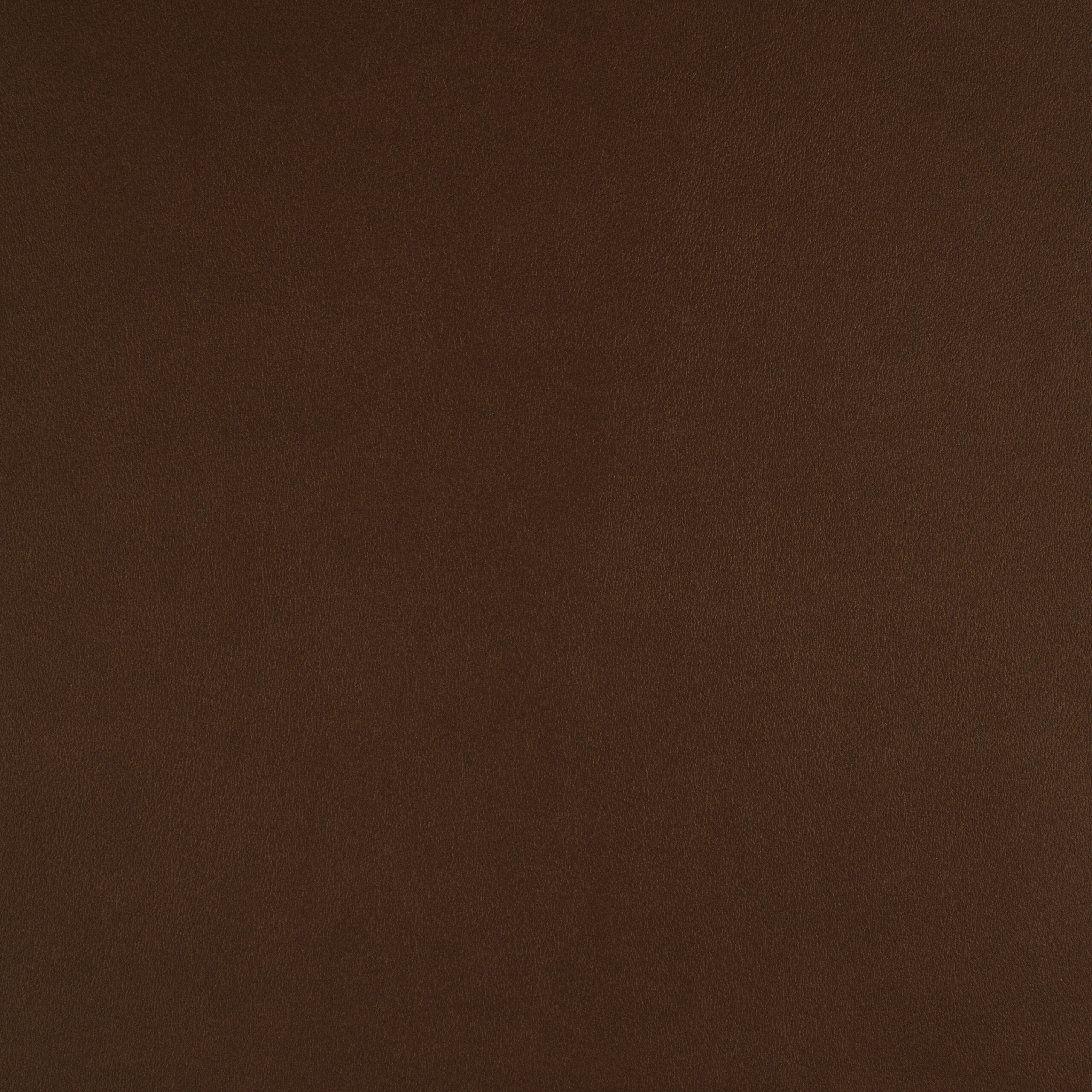 ICON – # 736 REDWOOD