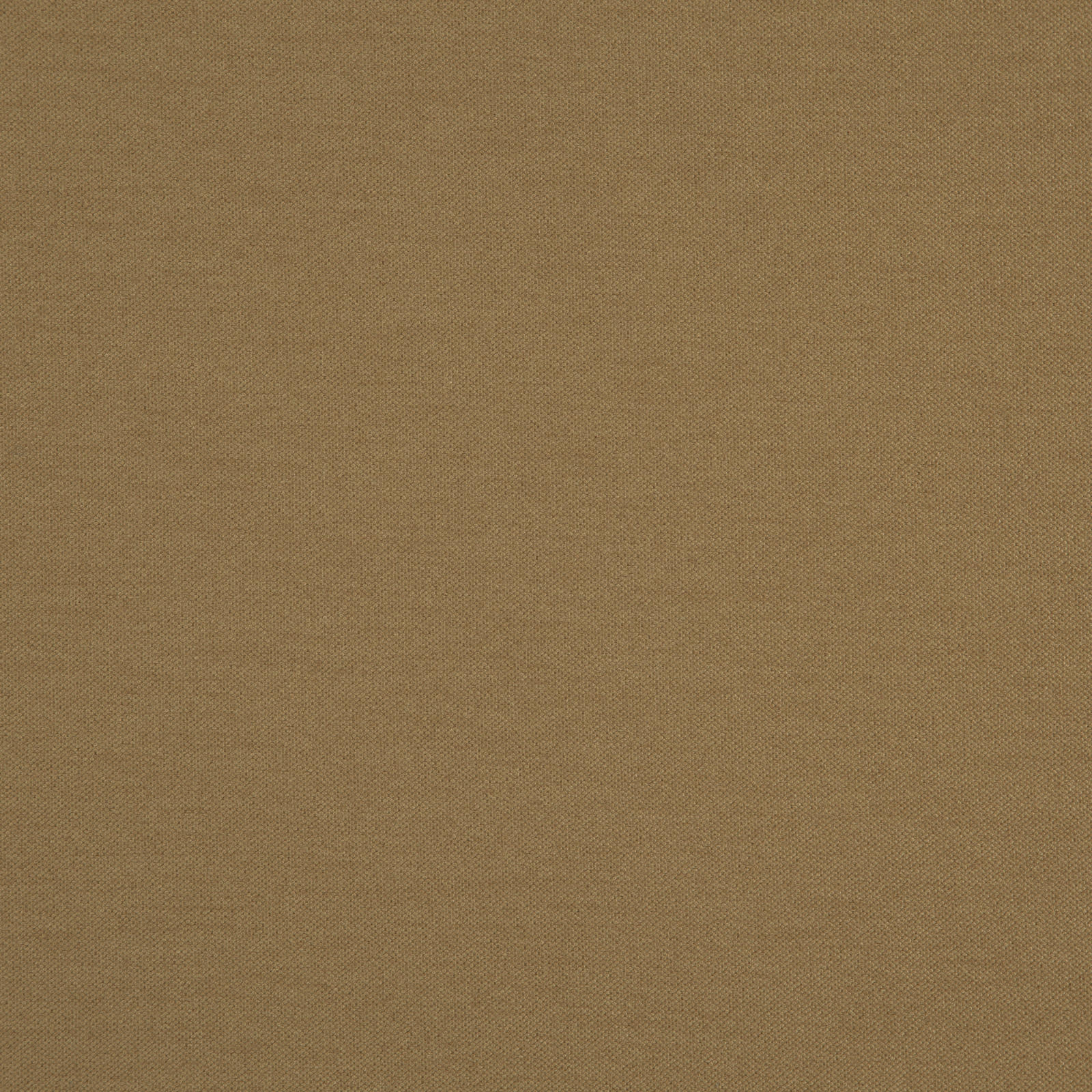 HATHA – # 06 CAMEL