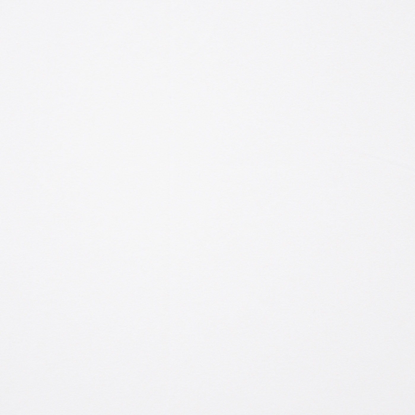 GANYMEDE – # 340 WHITE