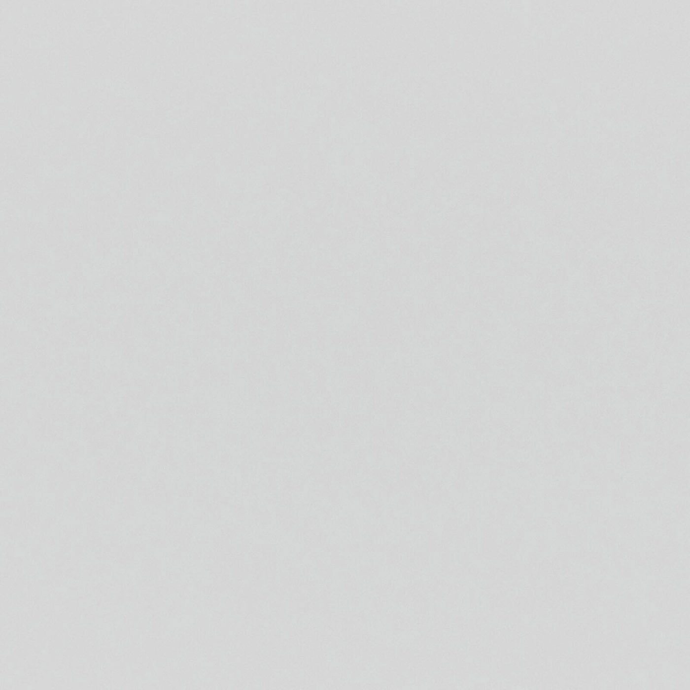 ERSA – # 339 SNOW