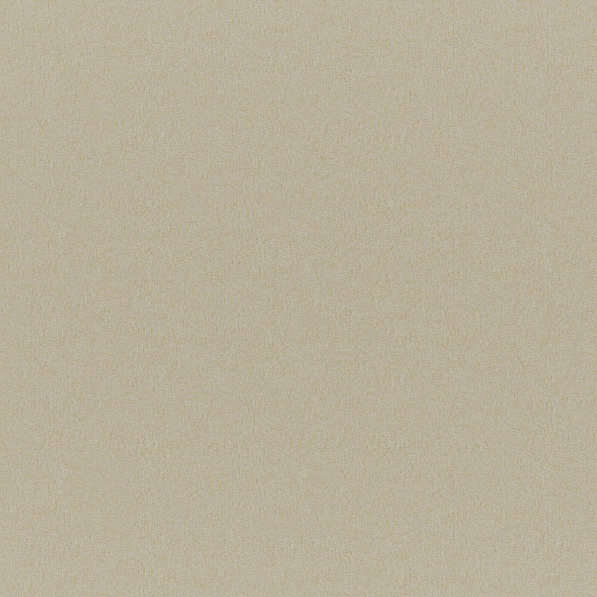 ERSA – # 312 SPONGE