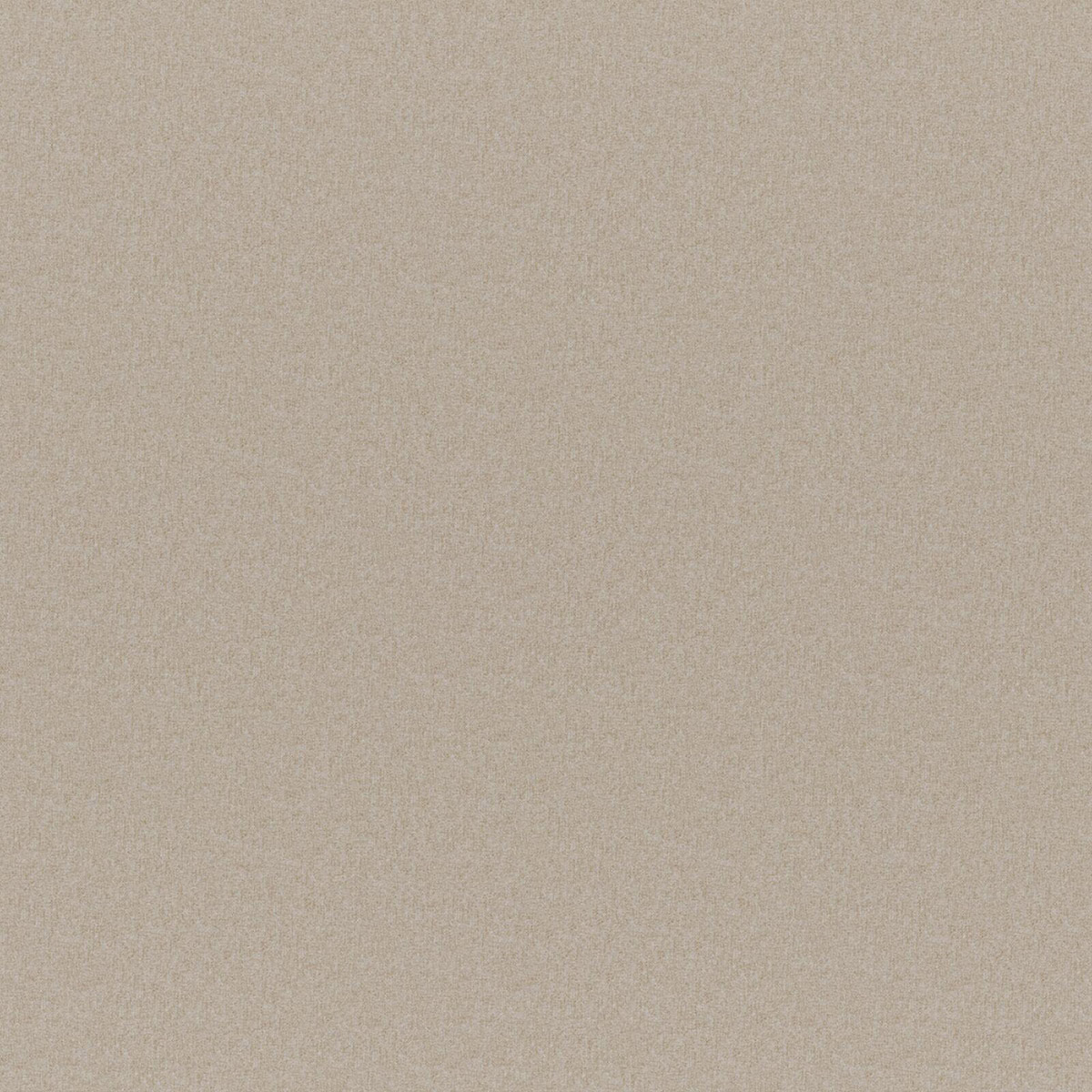 ERSA – # 305 EARTH