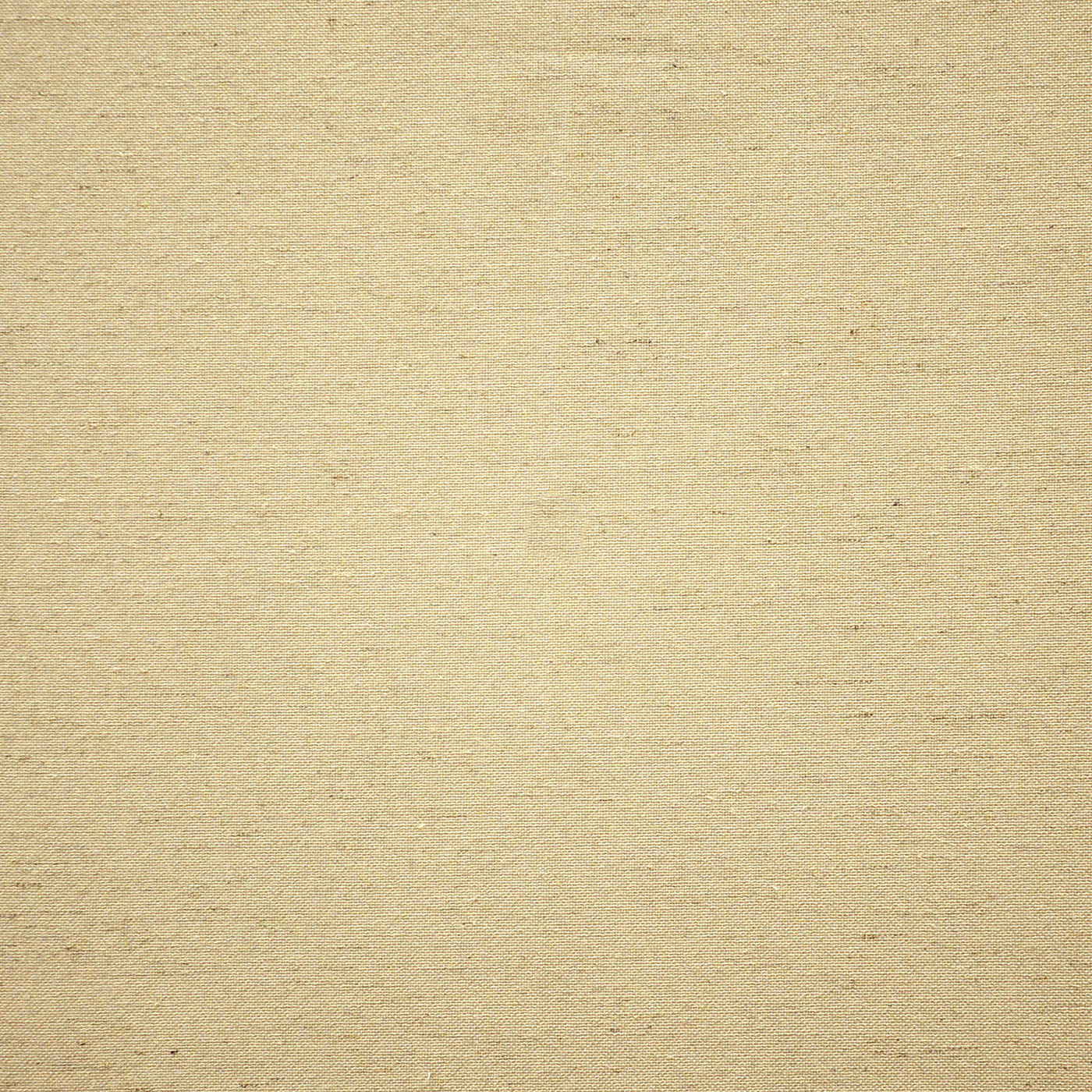 ELARA – # 309 RYE