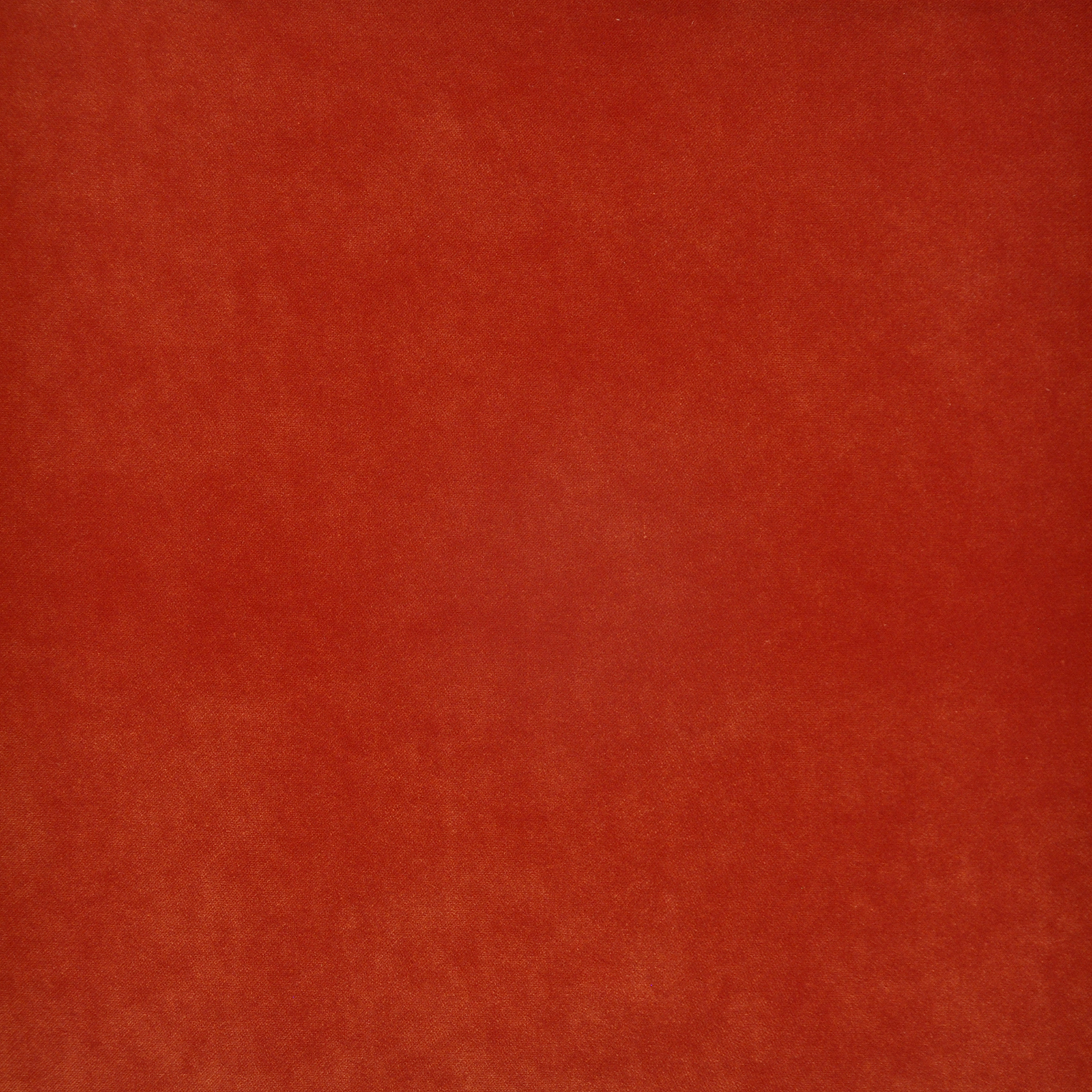 CLARK – # 727 CORAL