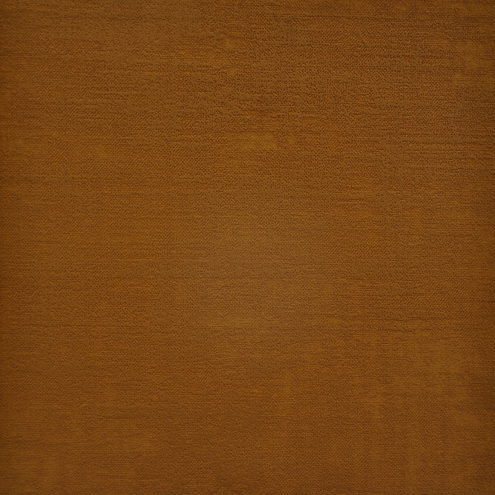 CARLOTTA – # 721 ROOIBOS**