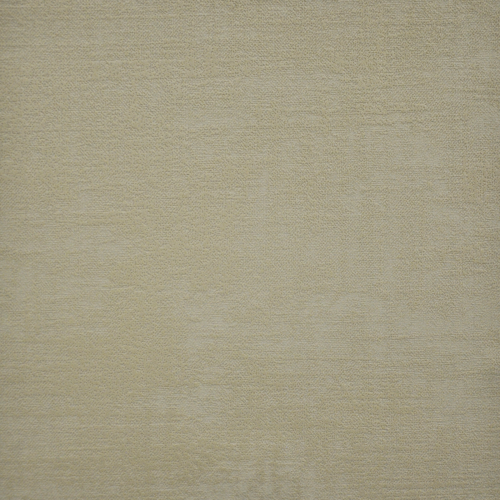CARLOTTA – # 709 ALMOND