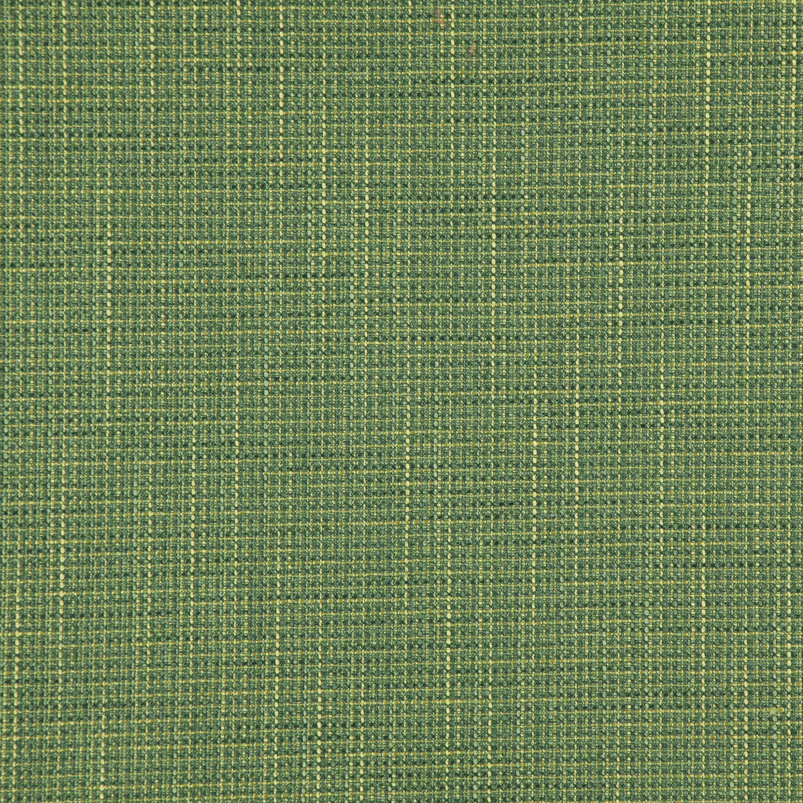 CLUNY – # 519 GRASS
