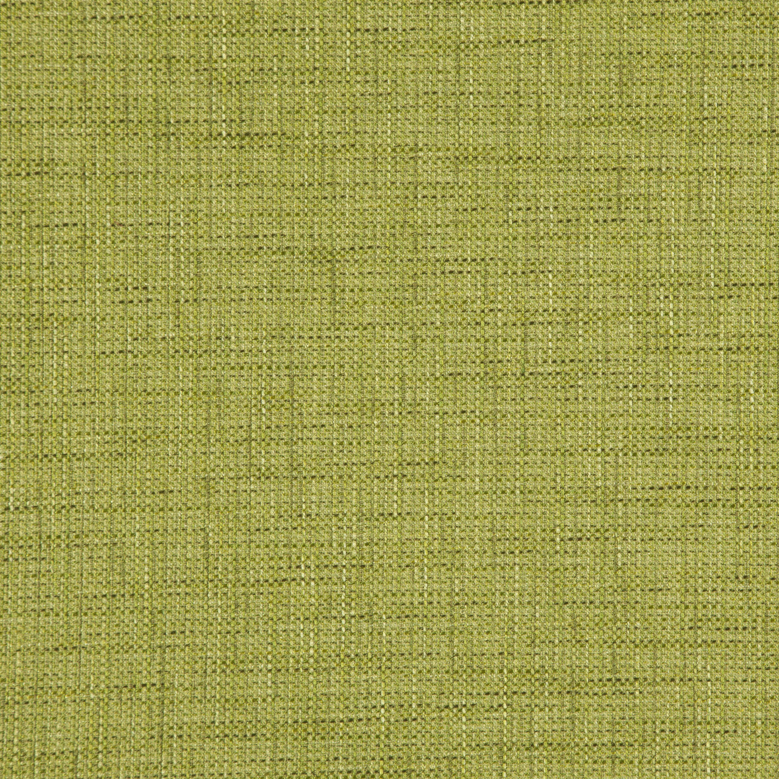 CLUNY – # 521 LIME