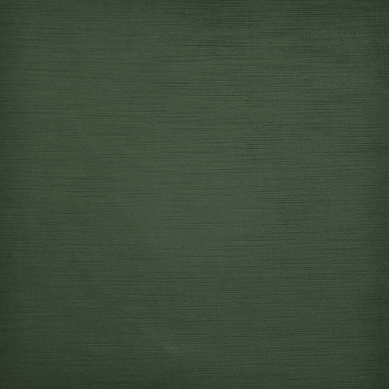 BARRYMORE – # 735 EUCALYPTUS