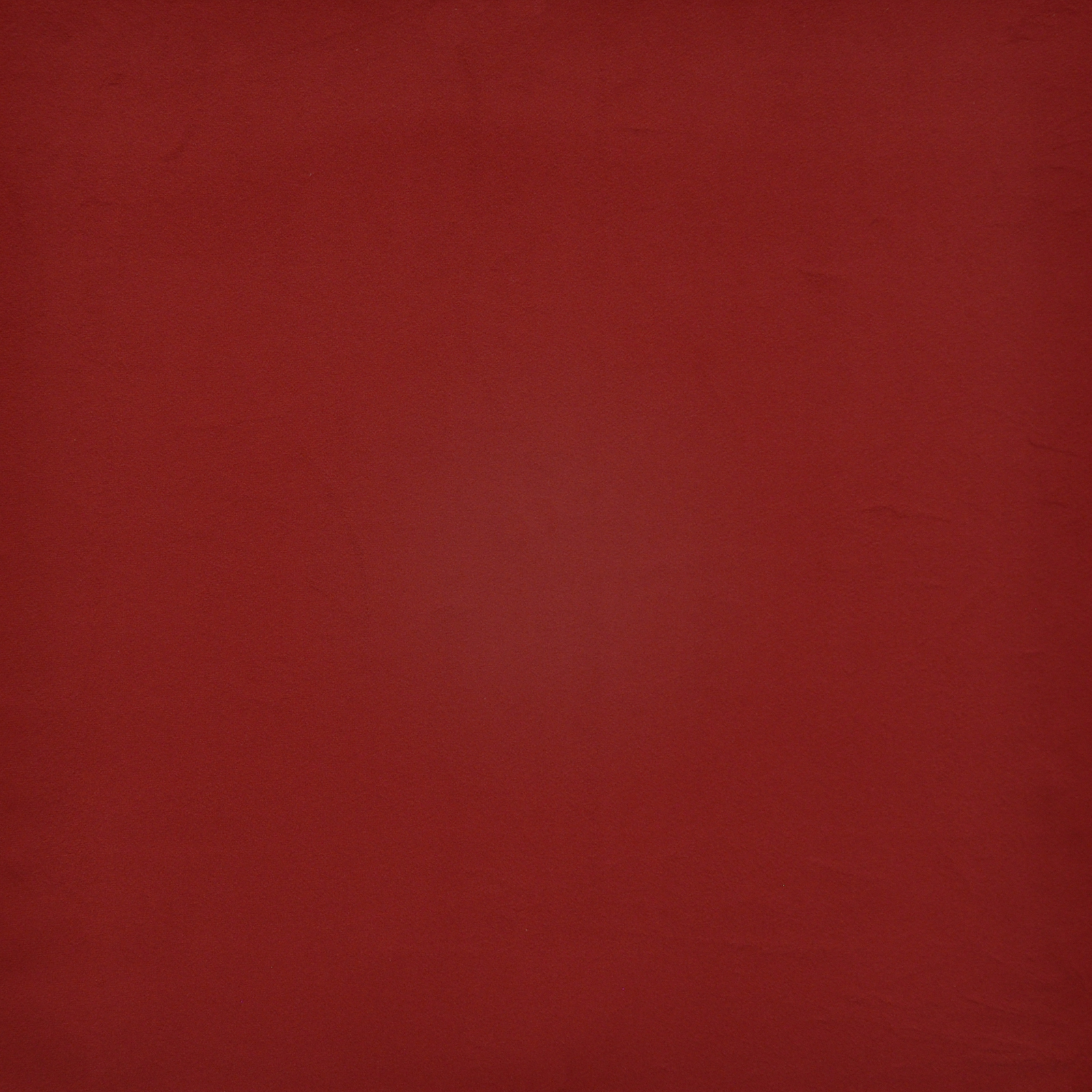 BACALL – # 730 ROSE