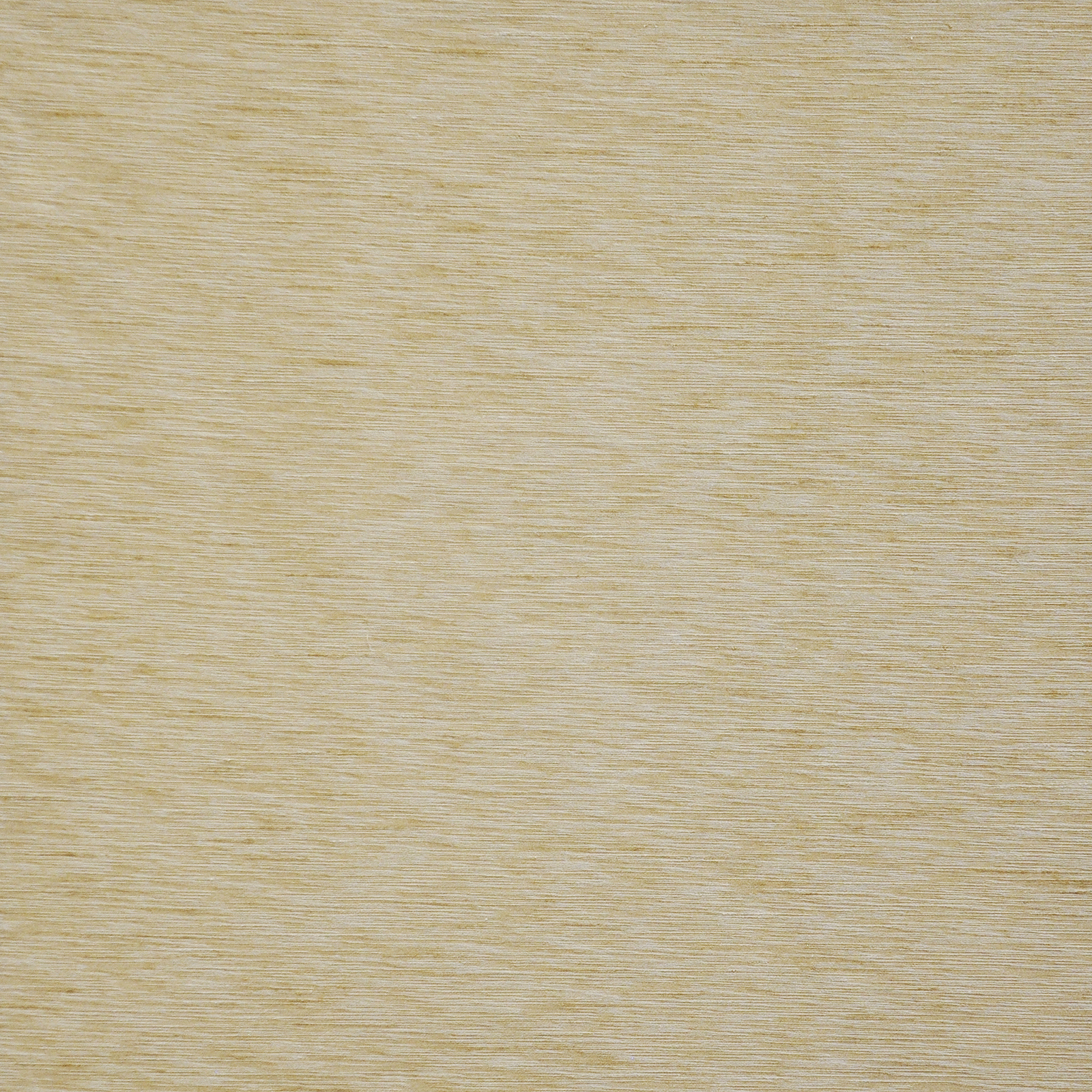 ASOLO – # 535 WINTER WHEAT