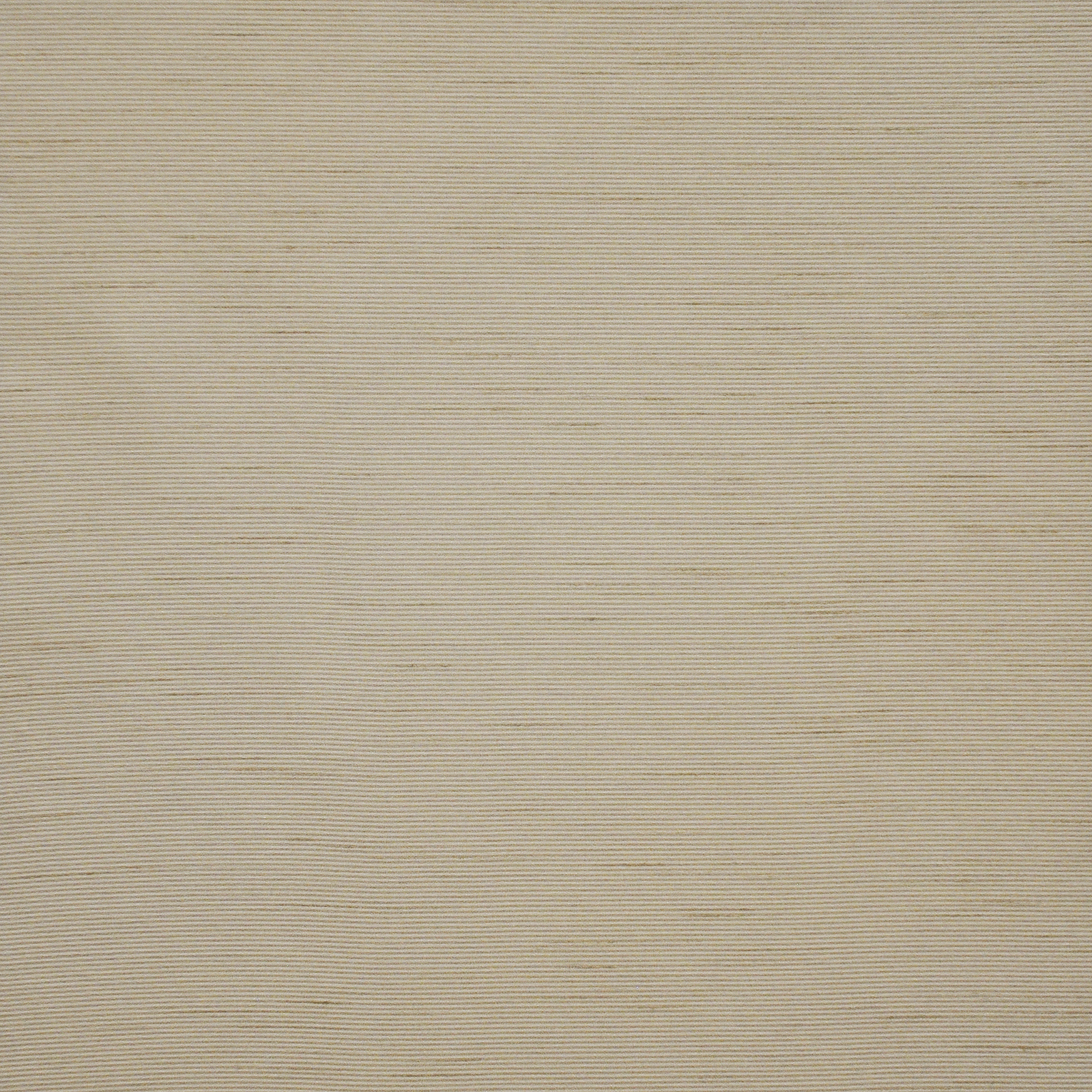 APOLLONIA – # 561 ALMOND