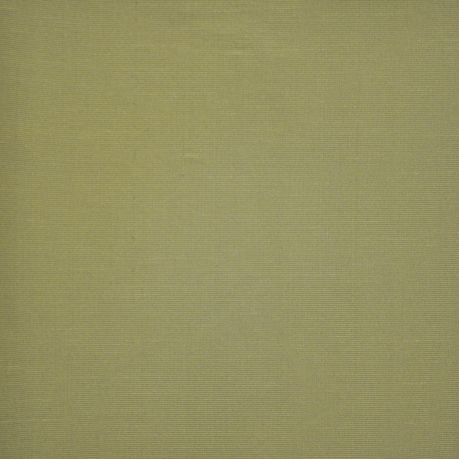 APOLLONIA – # 579 MACINTOSH