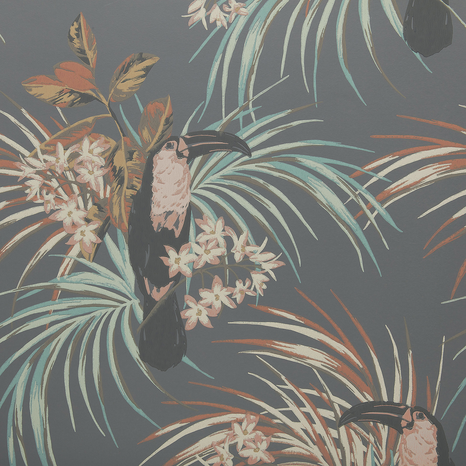 LE TOUCAN (WP) – # 05 CHARCOAL