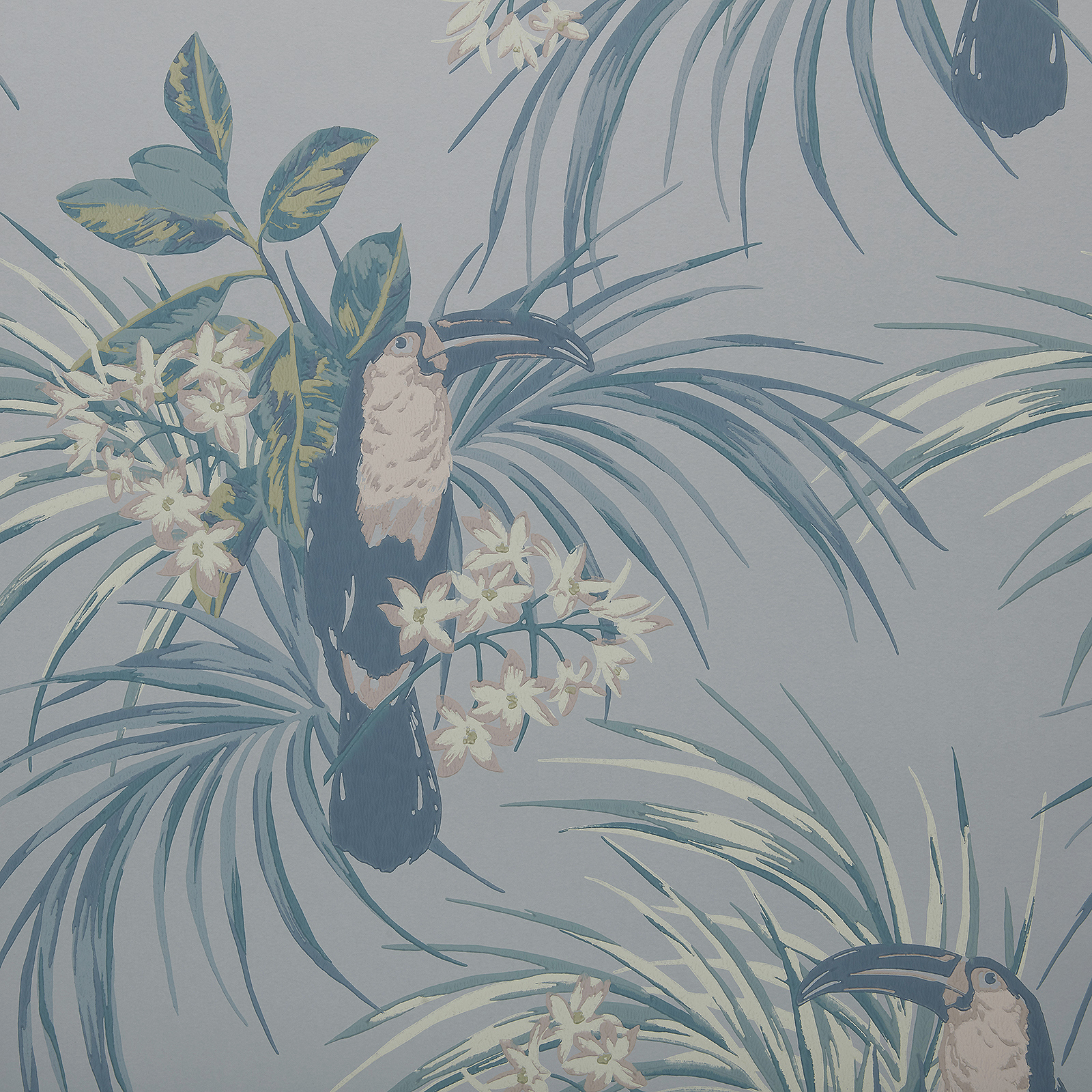 LE TOUCAN (WP) – # 01 PALE BLUE