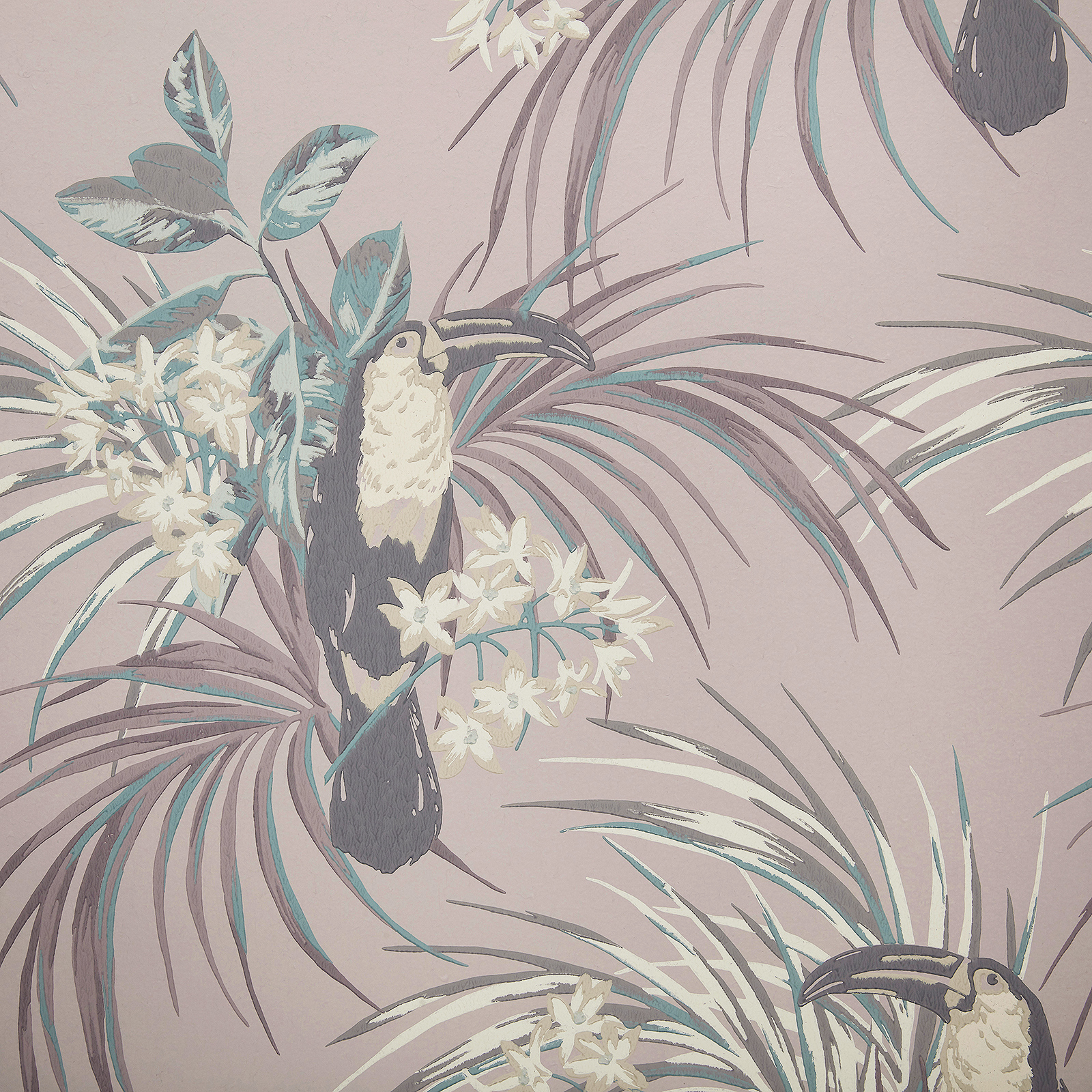 LE TOUCAN (WP) – # 02 ROSE