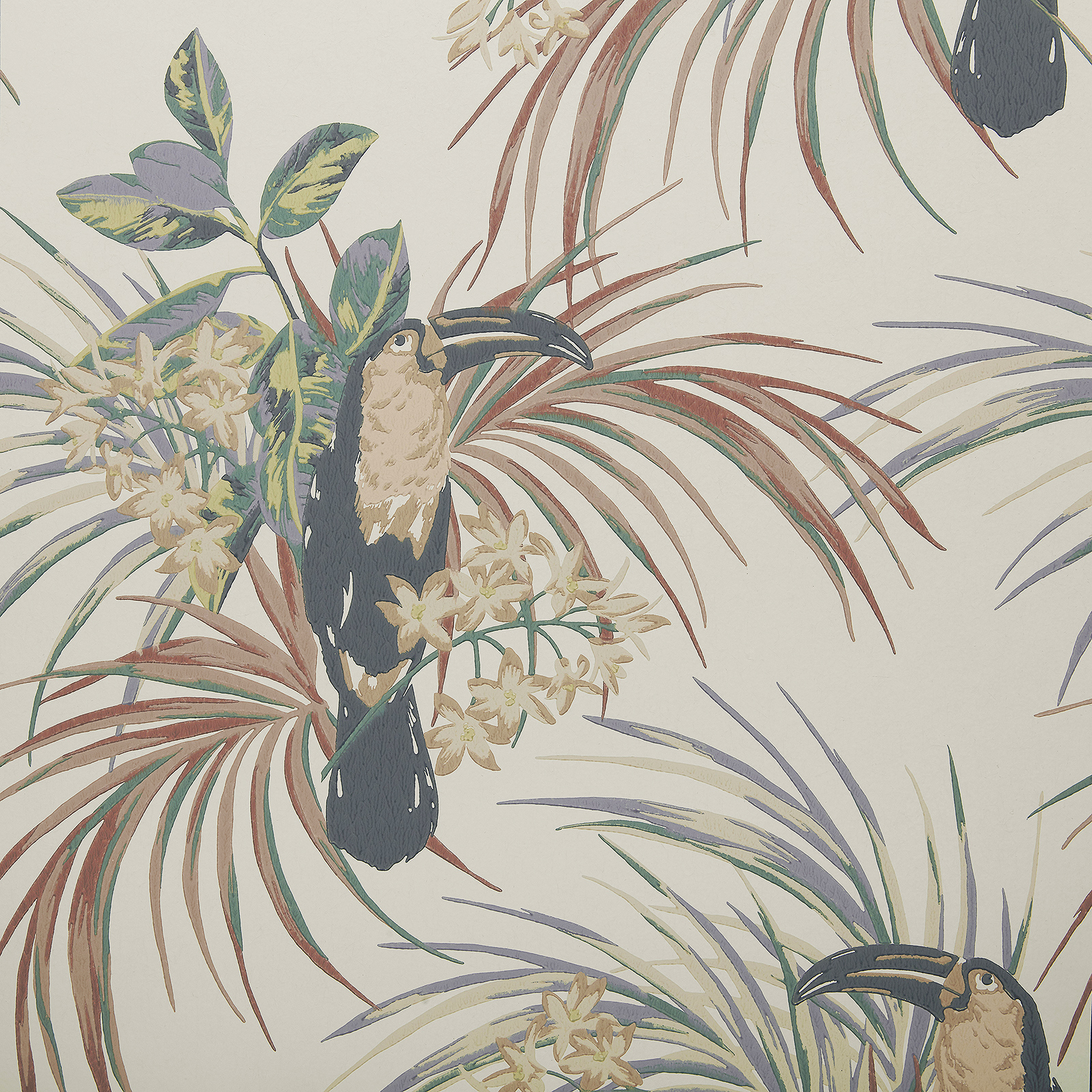 LE TOUCAN (WP) – # 04 AMBER GLOW