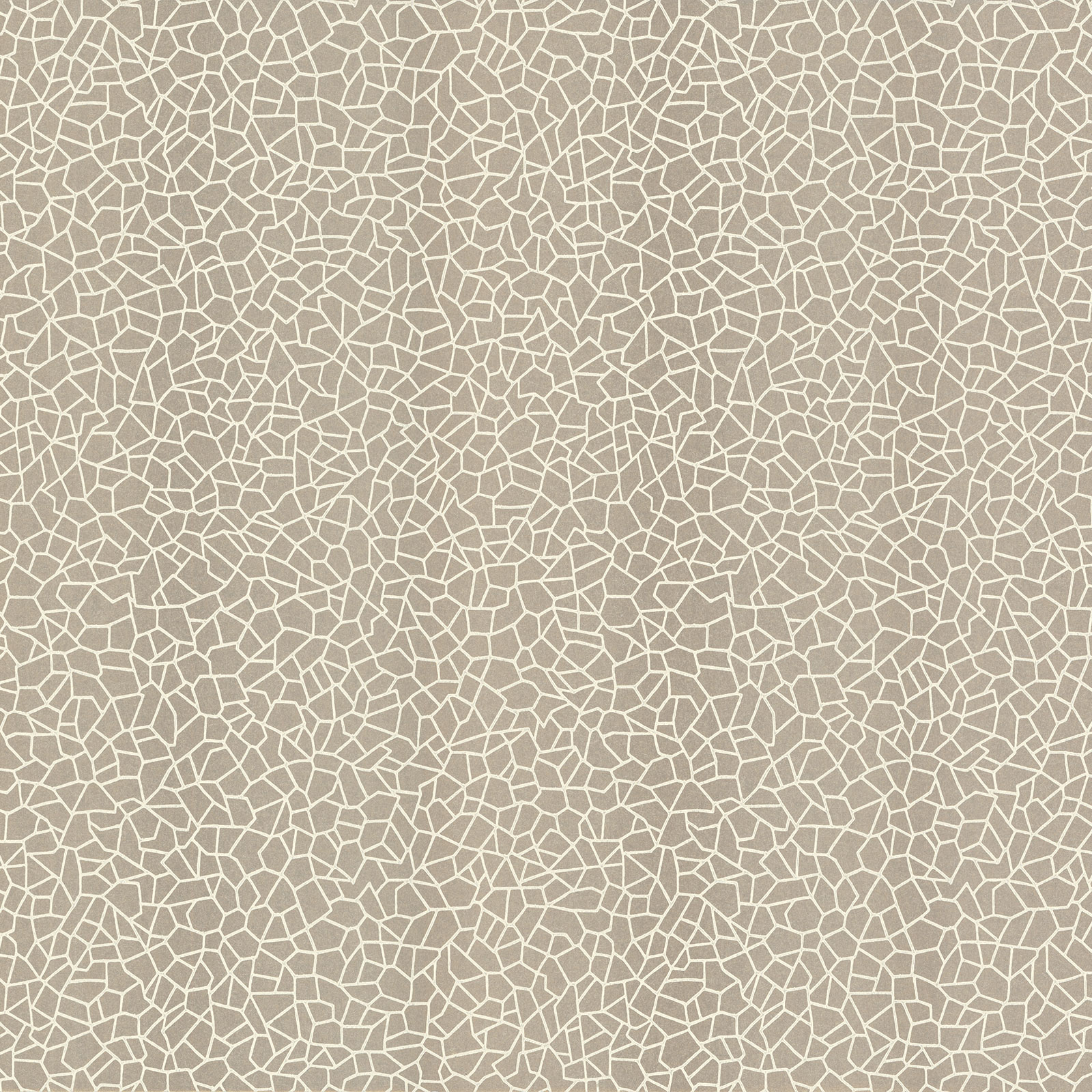 KEW (WP) – # 02