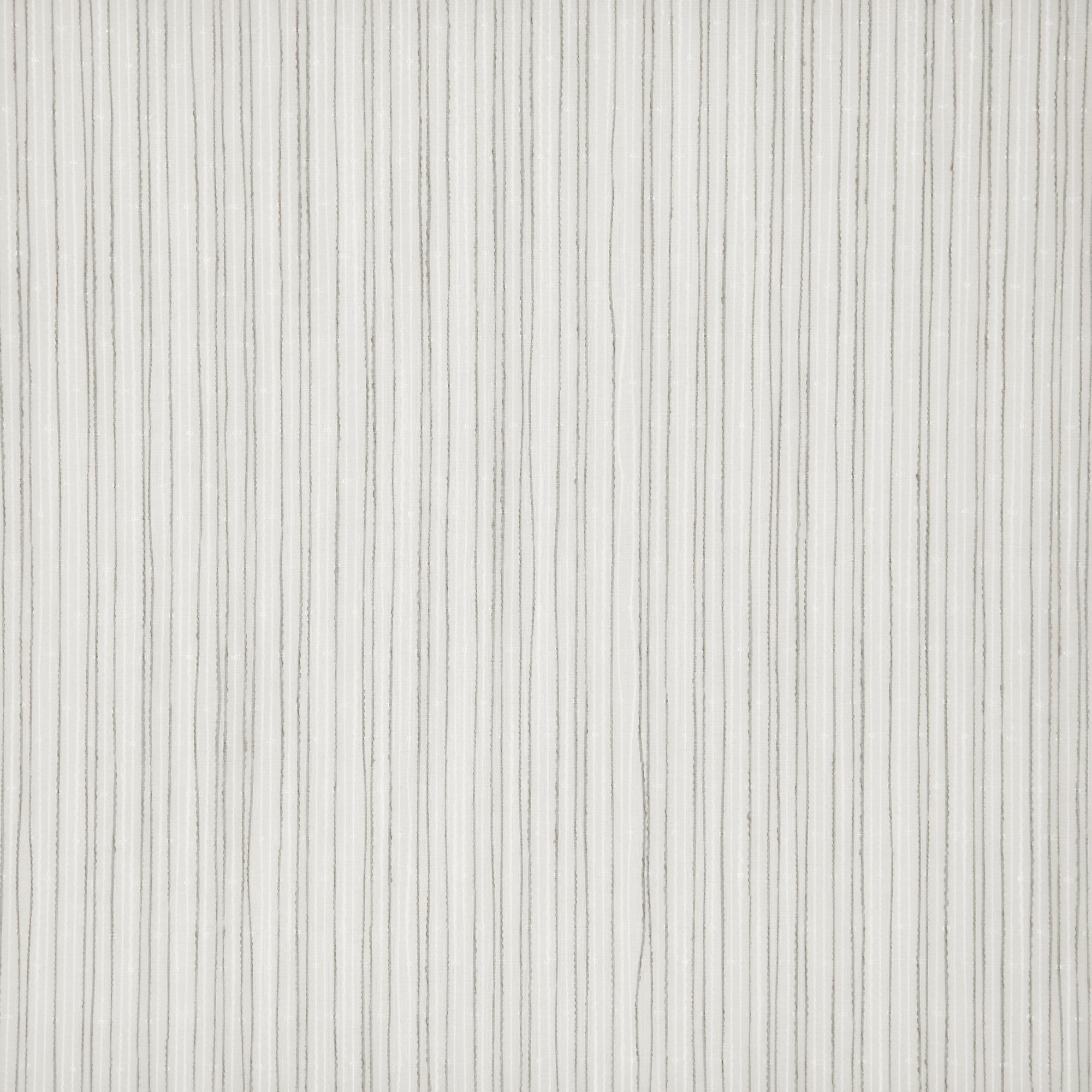 HORSETAIL – J8081 – Winning Windows Arizona