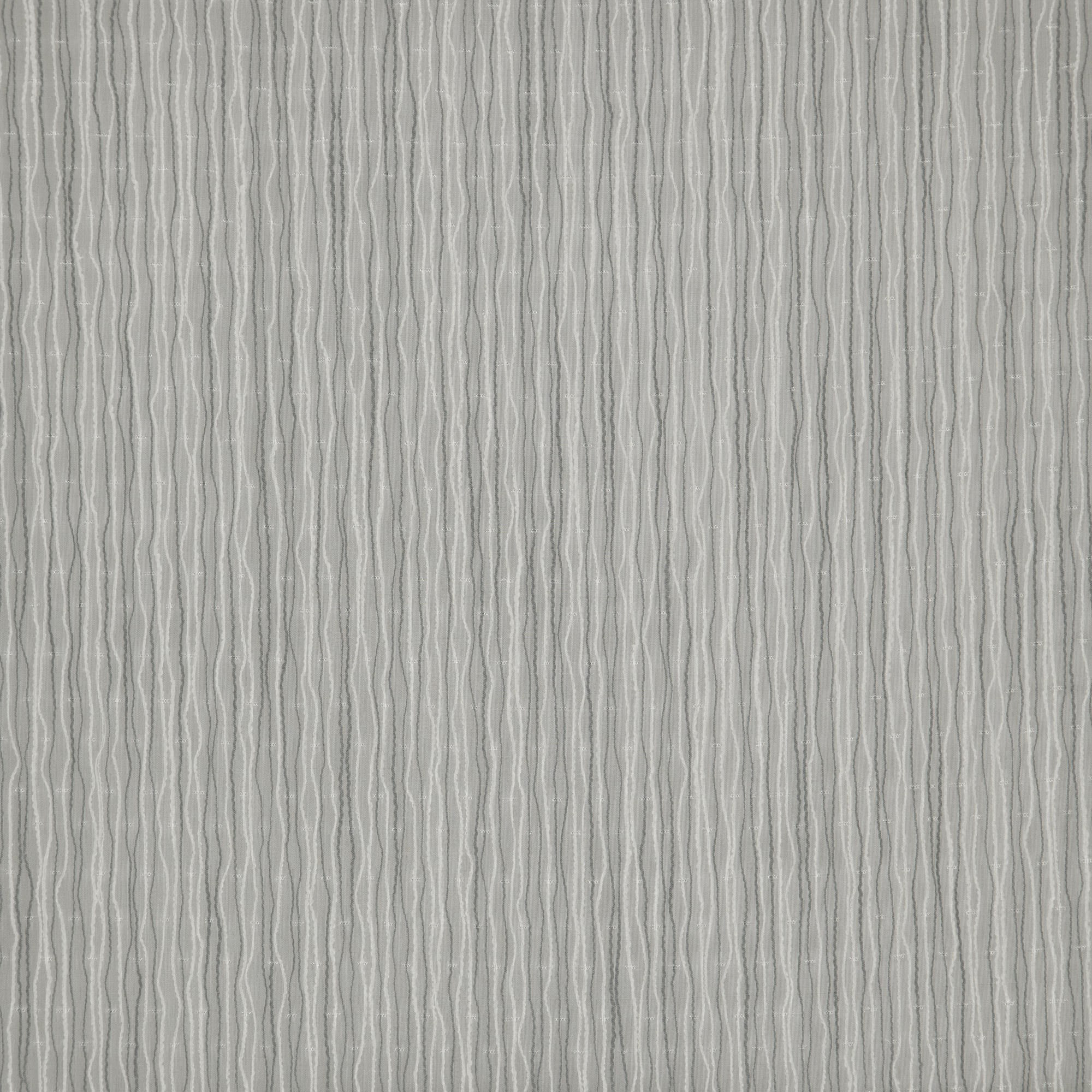 HORSETAIL – J8081 – Winning Windows Arizona