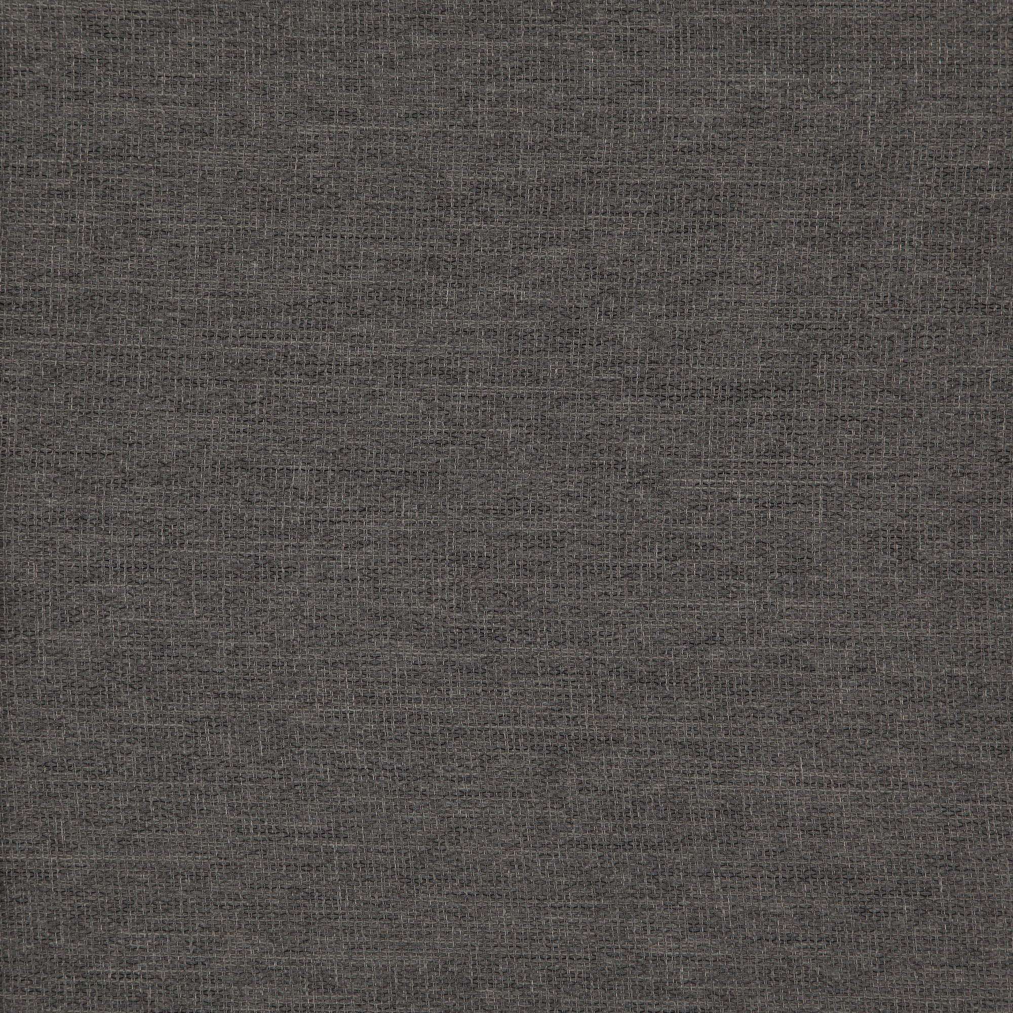 NECTAR – J8081 – Winning Windows Arizona