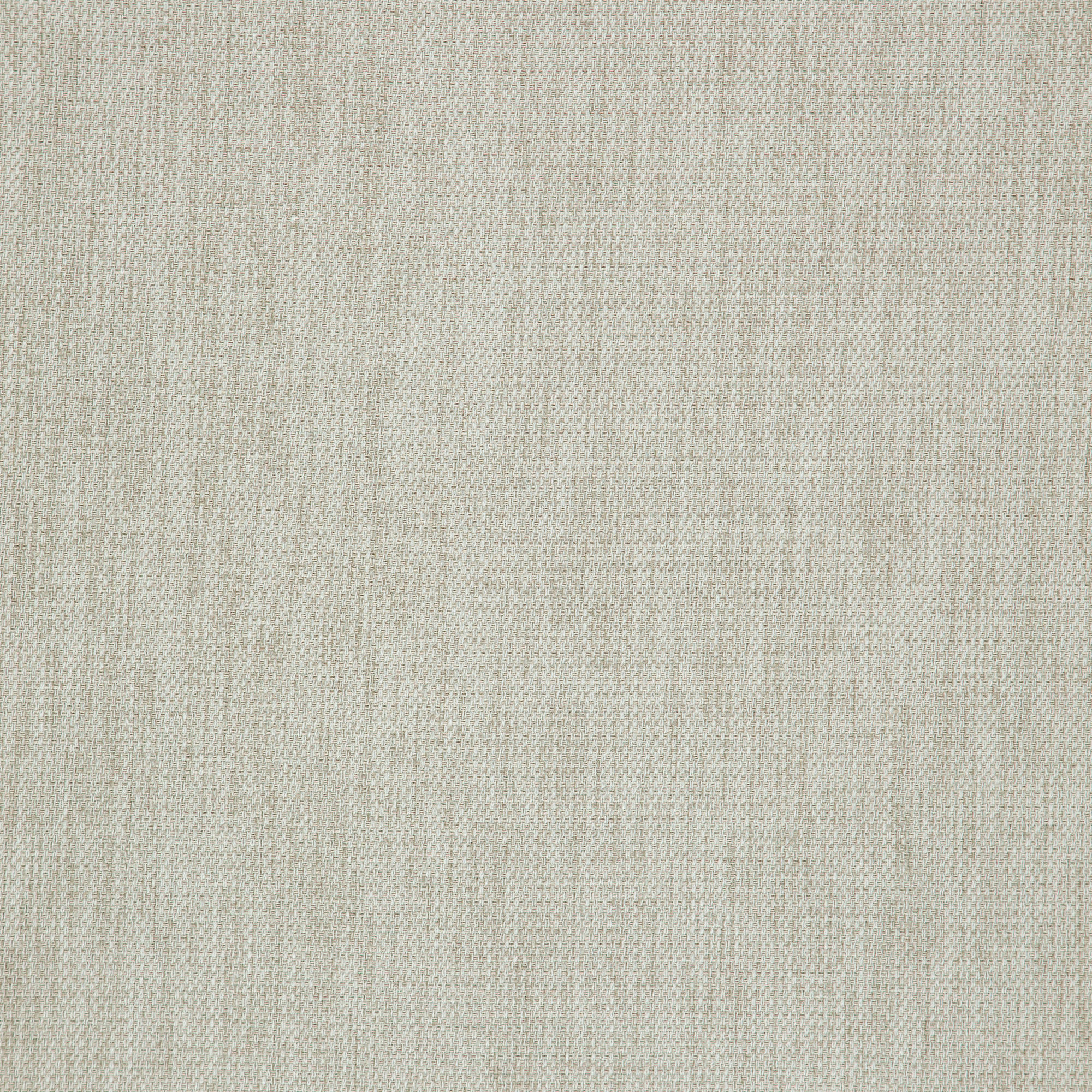 PARADISE – J8491 – Winning Windows Dynasty