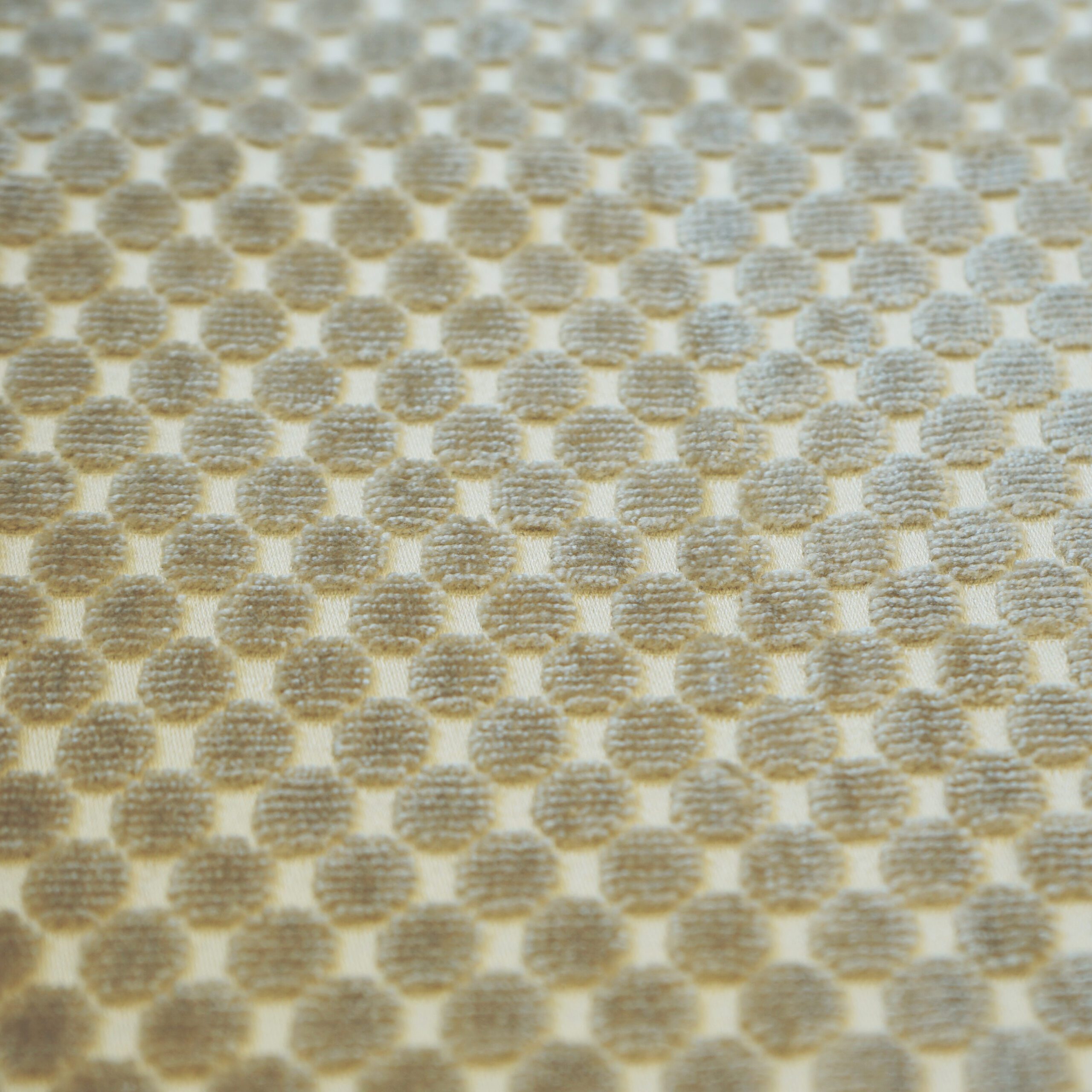SPOTS – SJ101 – JF Studio