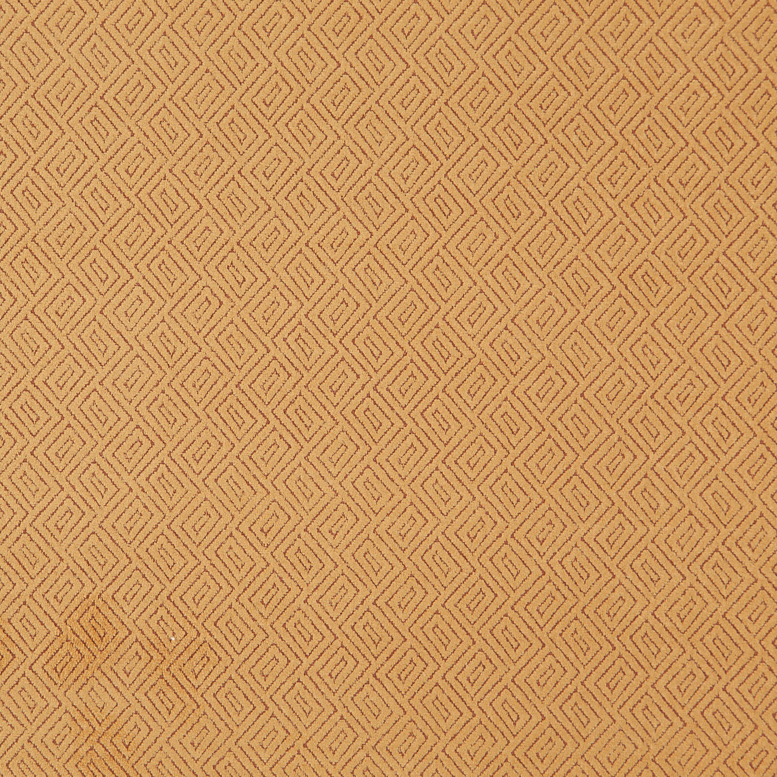 MAGELLAN – # 534 AMBER