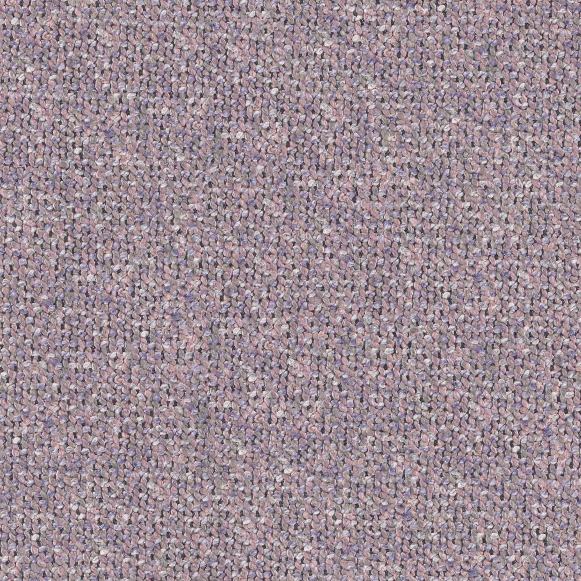 YORKIE – # 935 ALLIUM