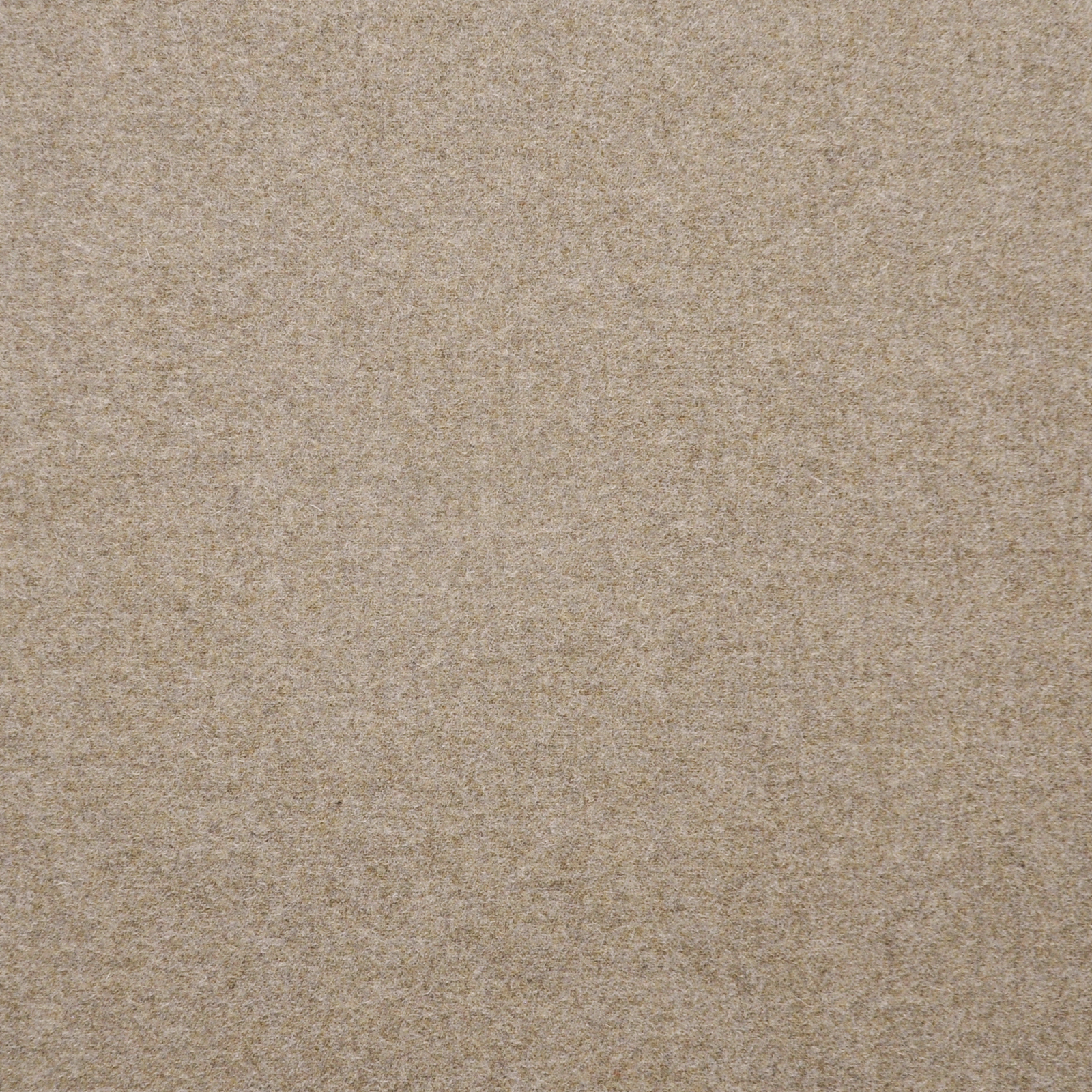 THOM – # 603 ALMOND