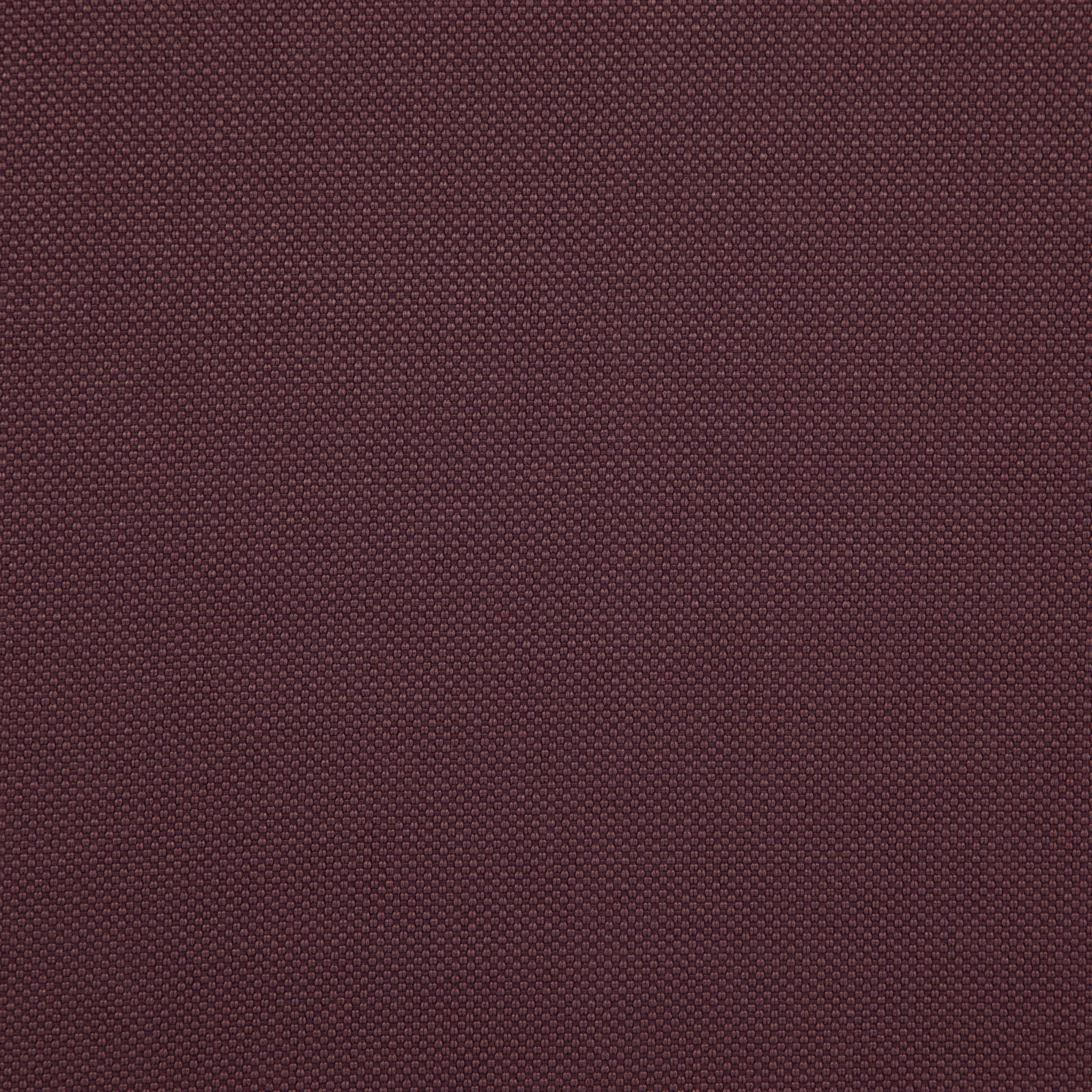 TESSERACT – # 35 ORCHID**