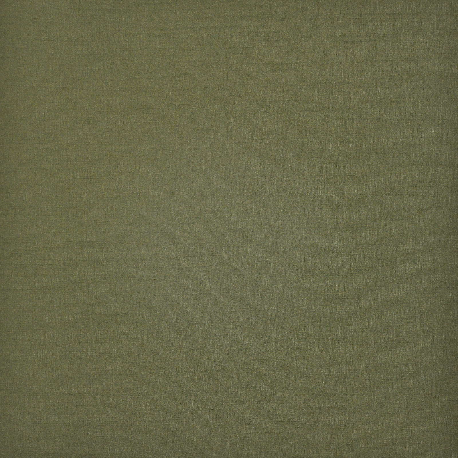 PRATO – # 581 PINE