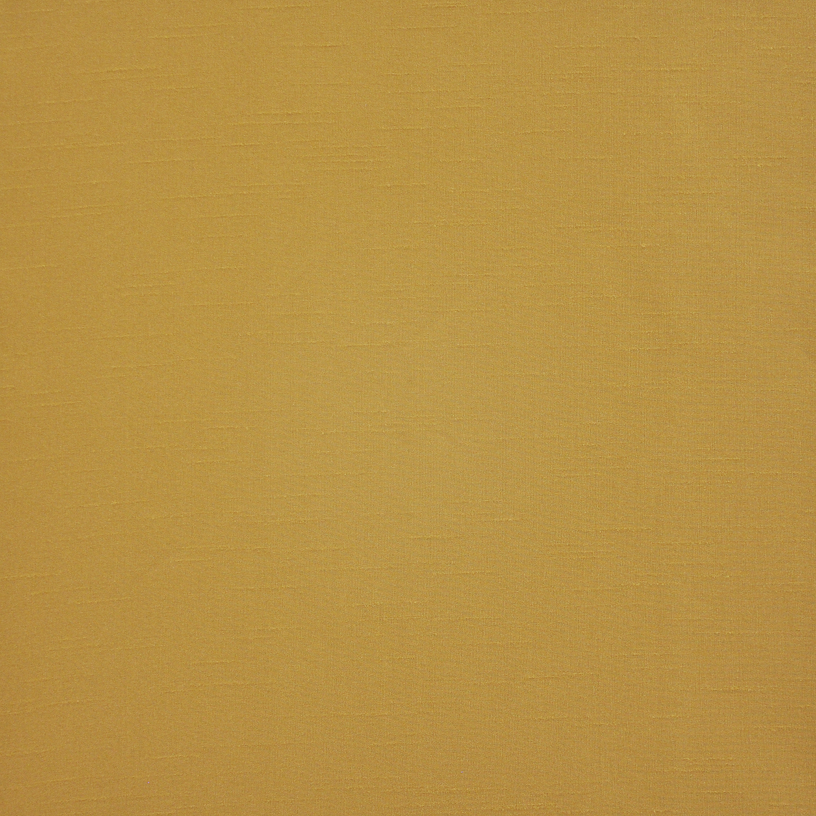 PRATO – # 539 MARIGOLD