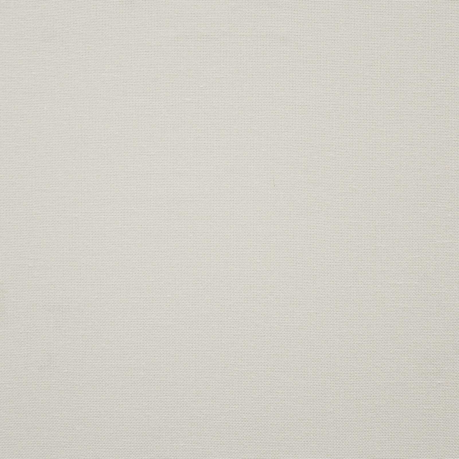 PANDA – # 338 IVORY