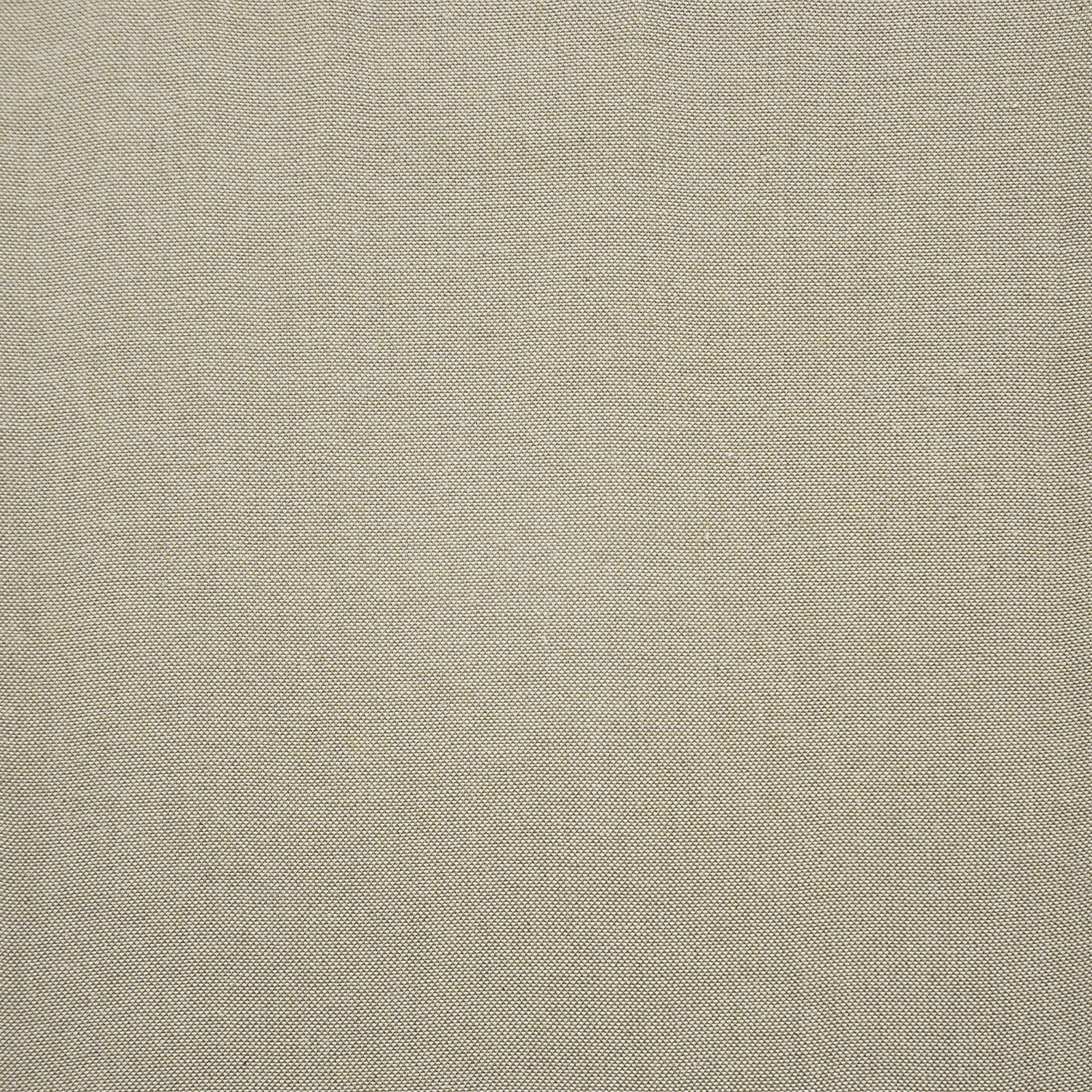 PANDA – # 305 STONE