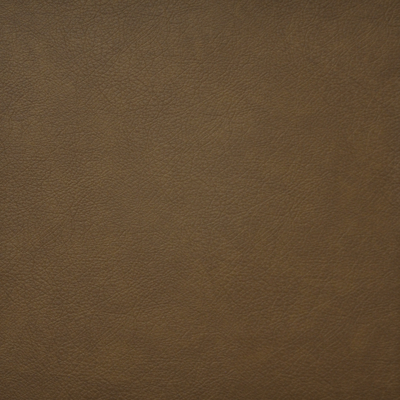 HIDALGO – # 720 WHISKEY