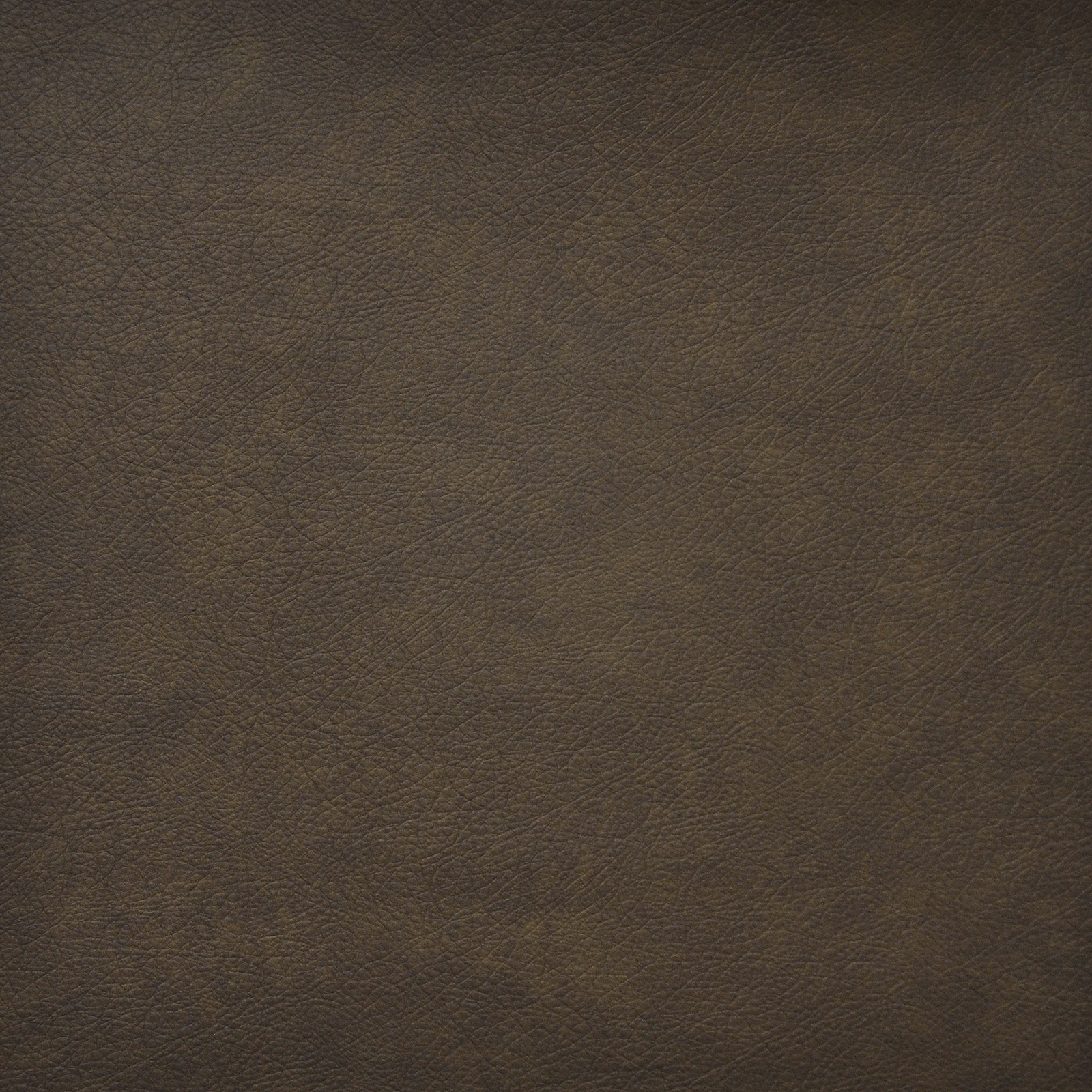 HIDALGO – # 701 TRUFFLE