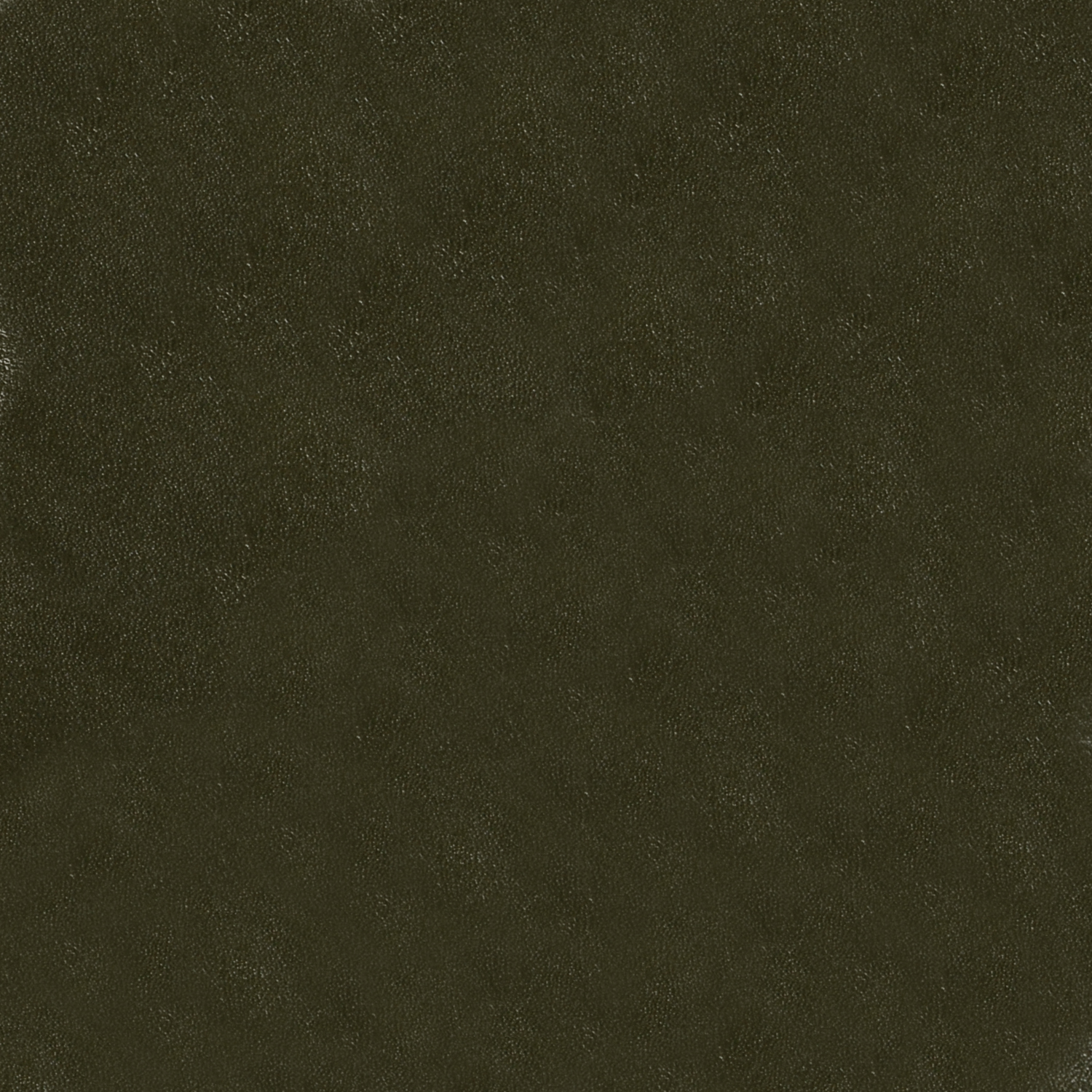 GLAZE – # 102 CACTUS