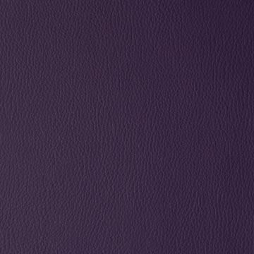 FLEXA – # 108 PLUM
