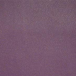 ESPRIT – # 053 PURPLE IRIS