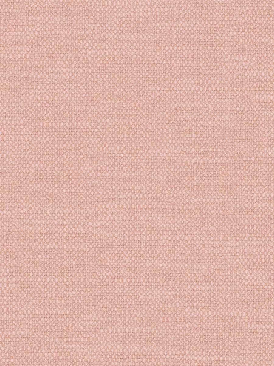 Nimbeco – Coral