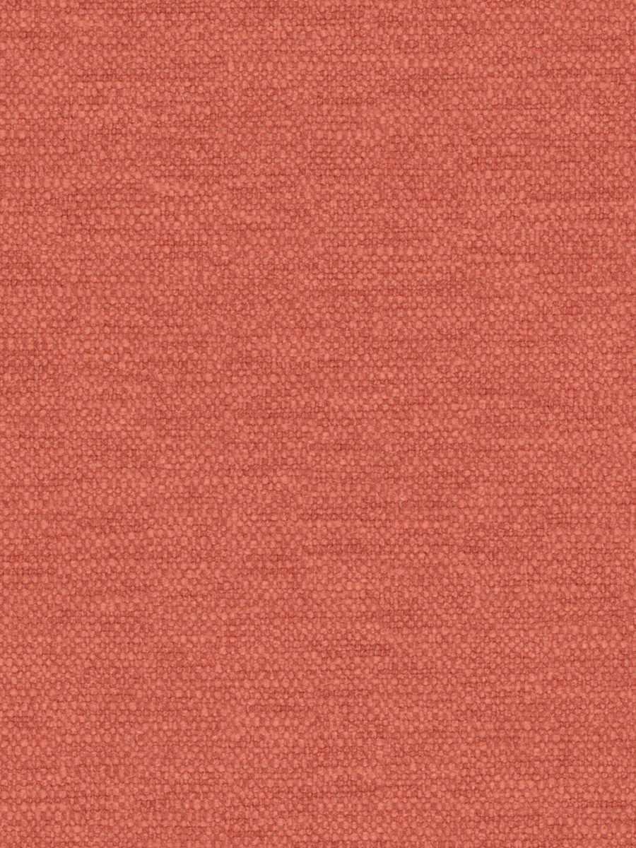 Nimbeco – Cinnamon