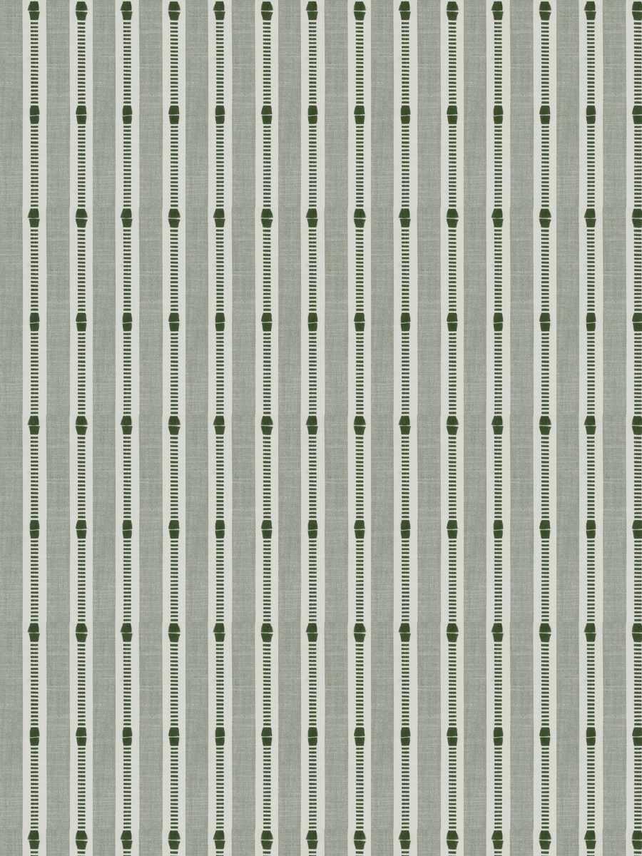 Luis – Olive