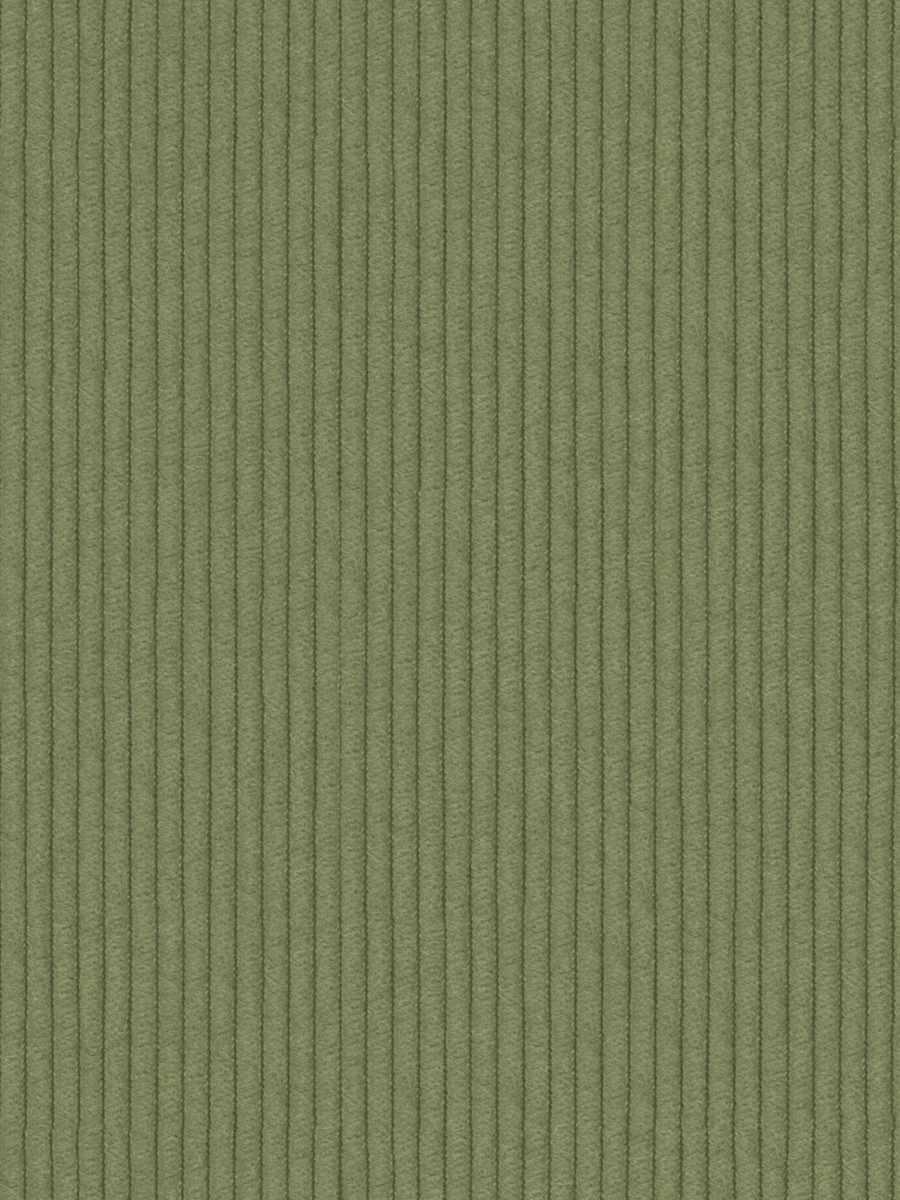 Rexford – Hedge