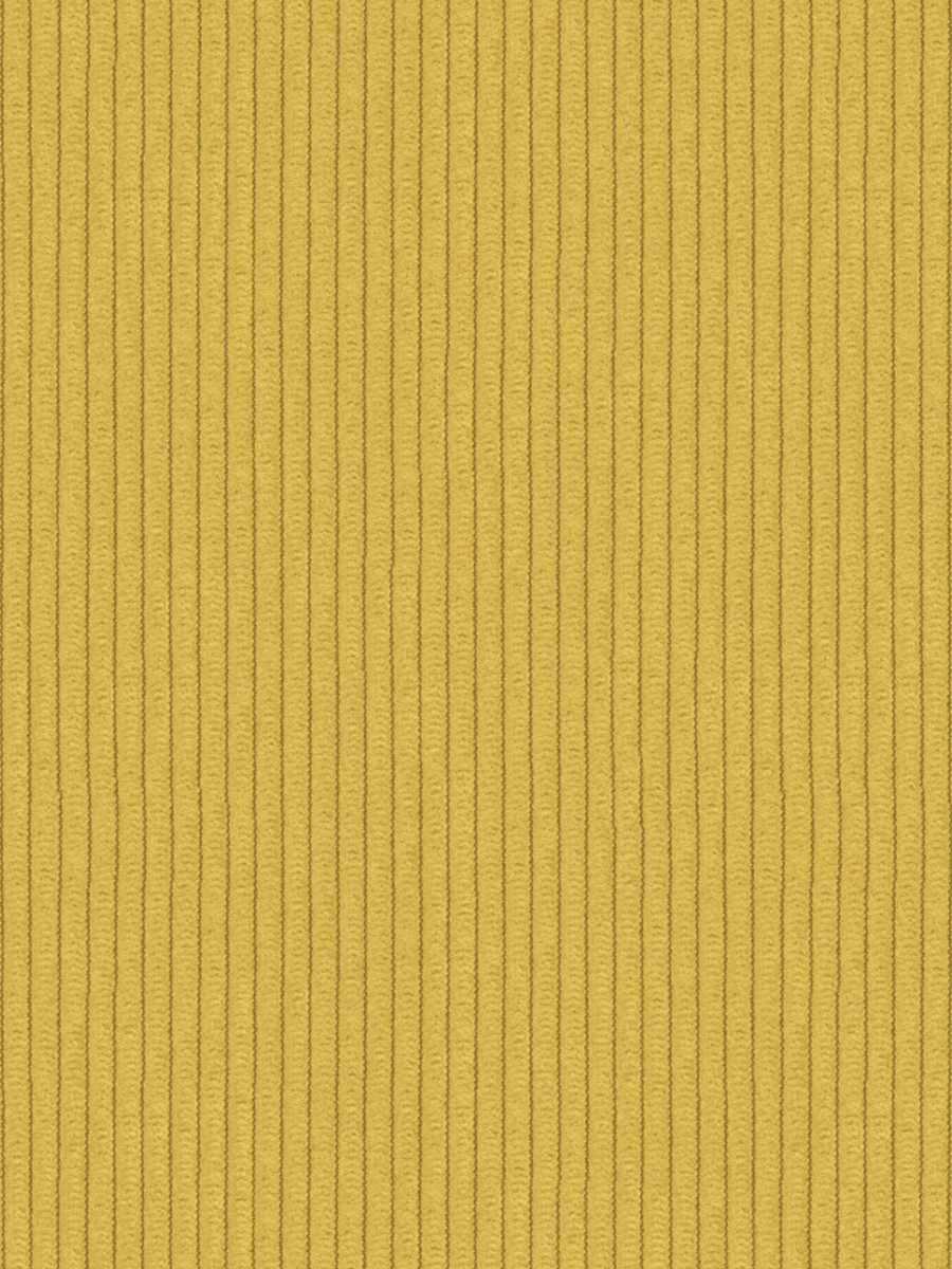 Rexford – Gold