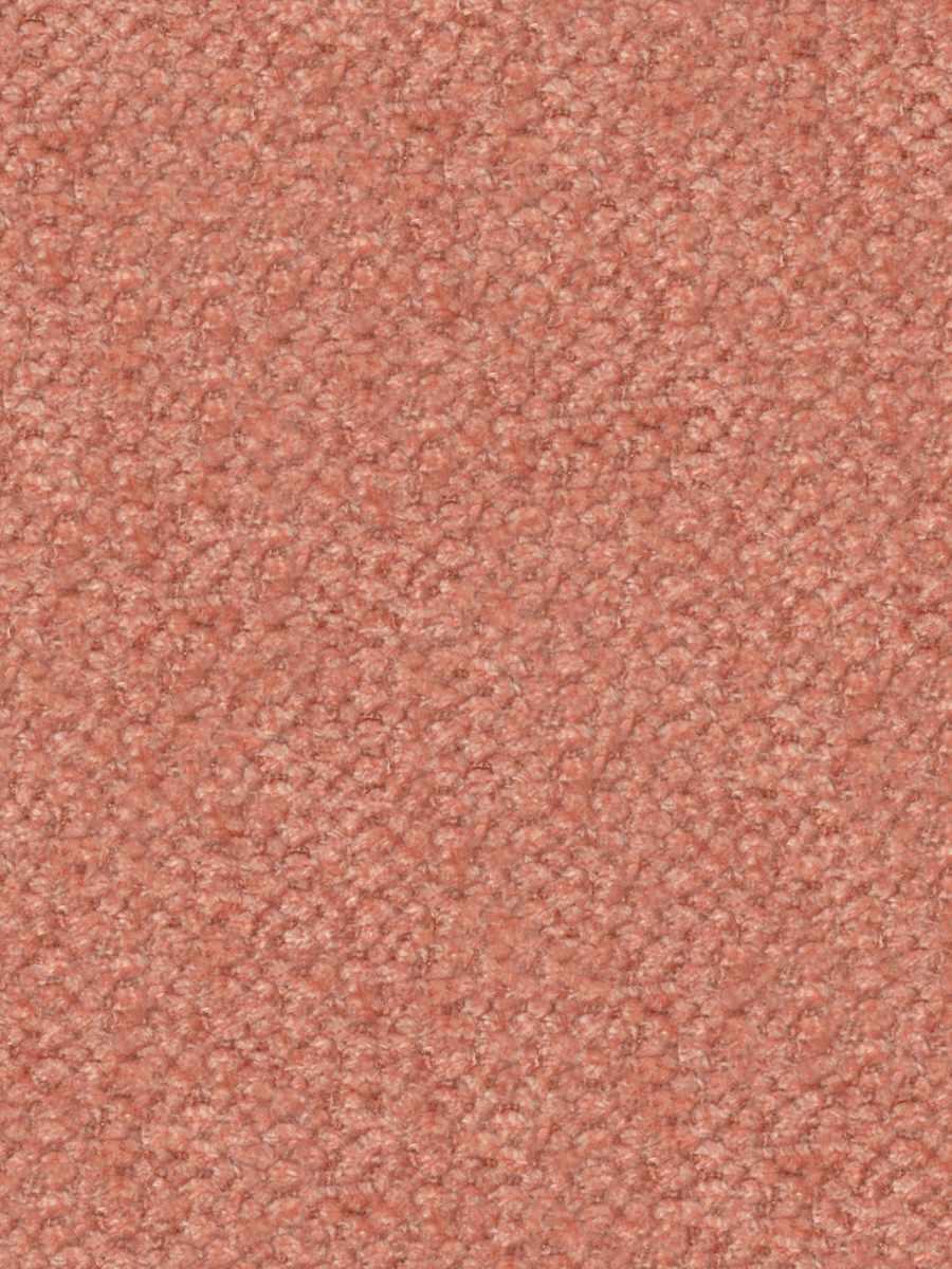 Teddy Plush – Sienna