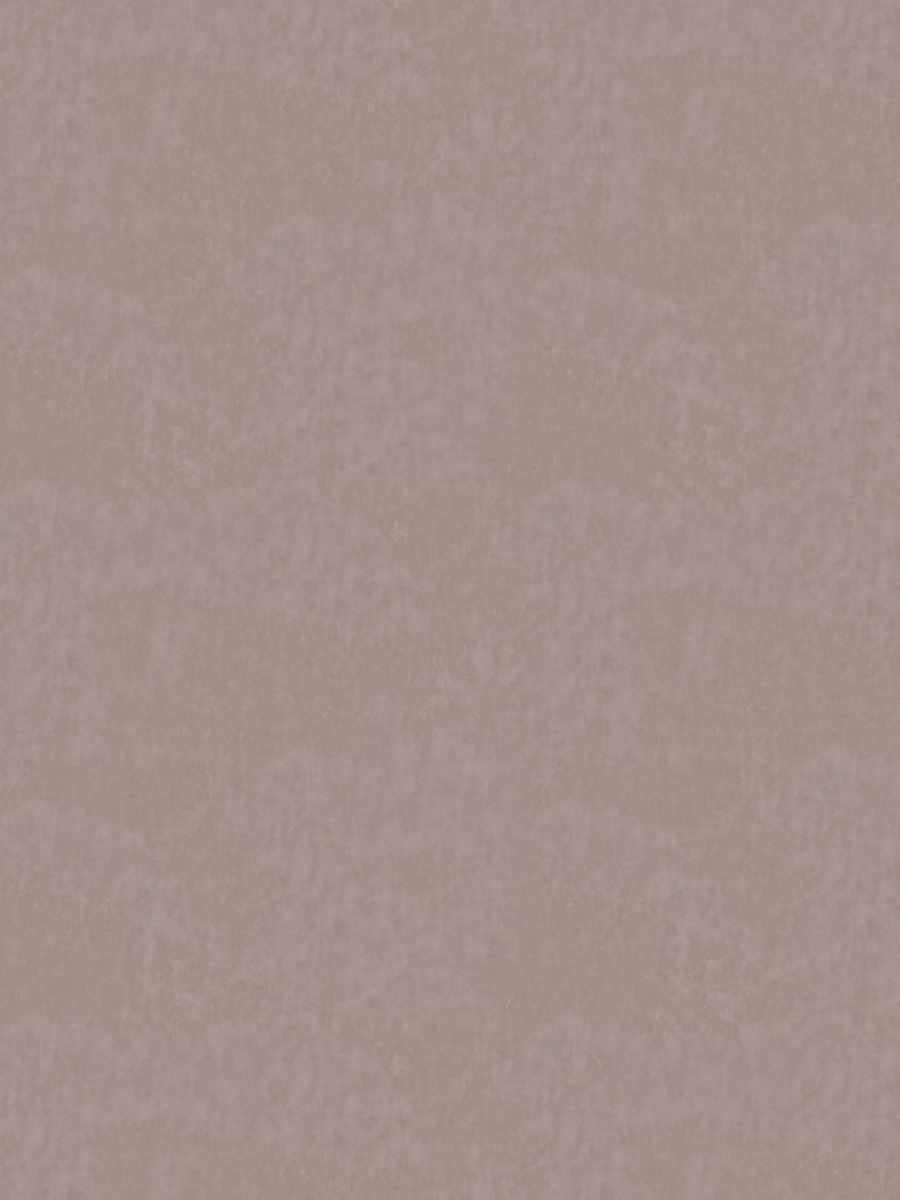 Victor – Lilac