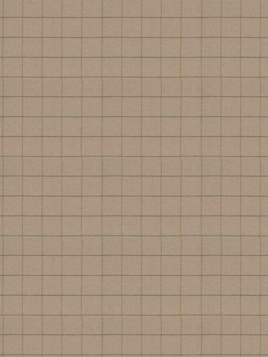 Blane – Camel